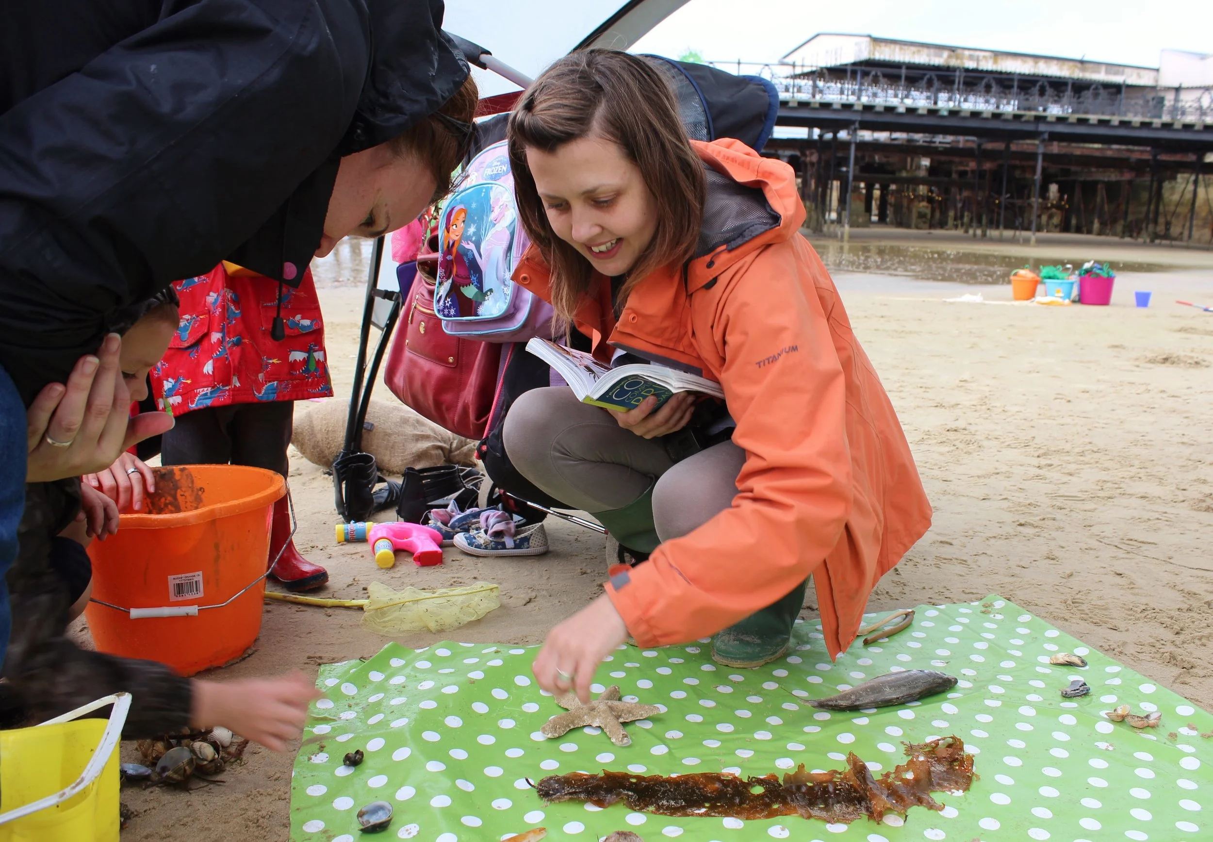 Species recording with the Isle of Wight Natural History Society
