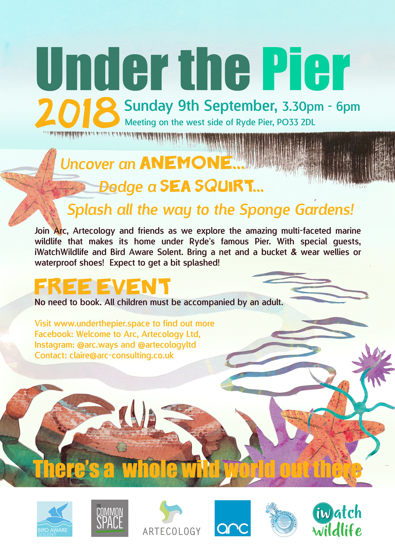 Under the Pier 2018