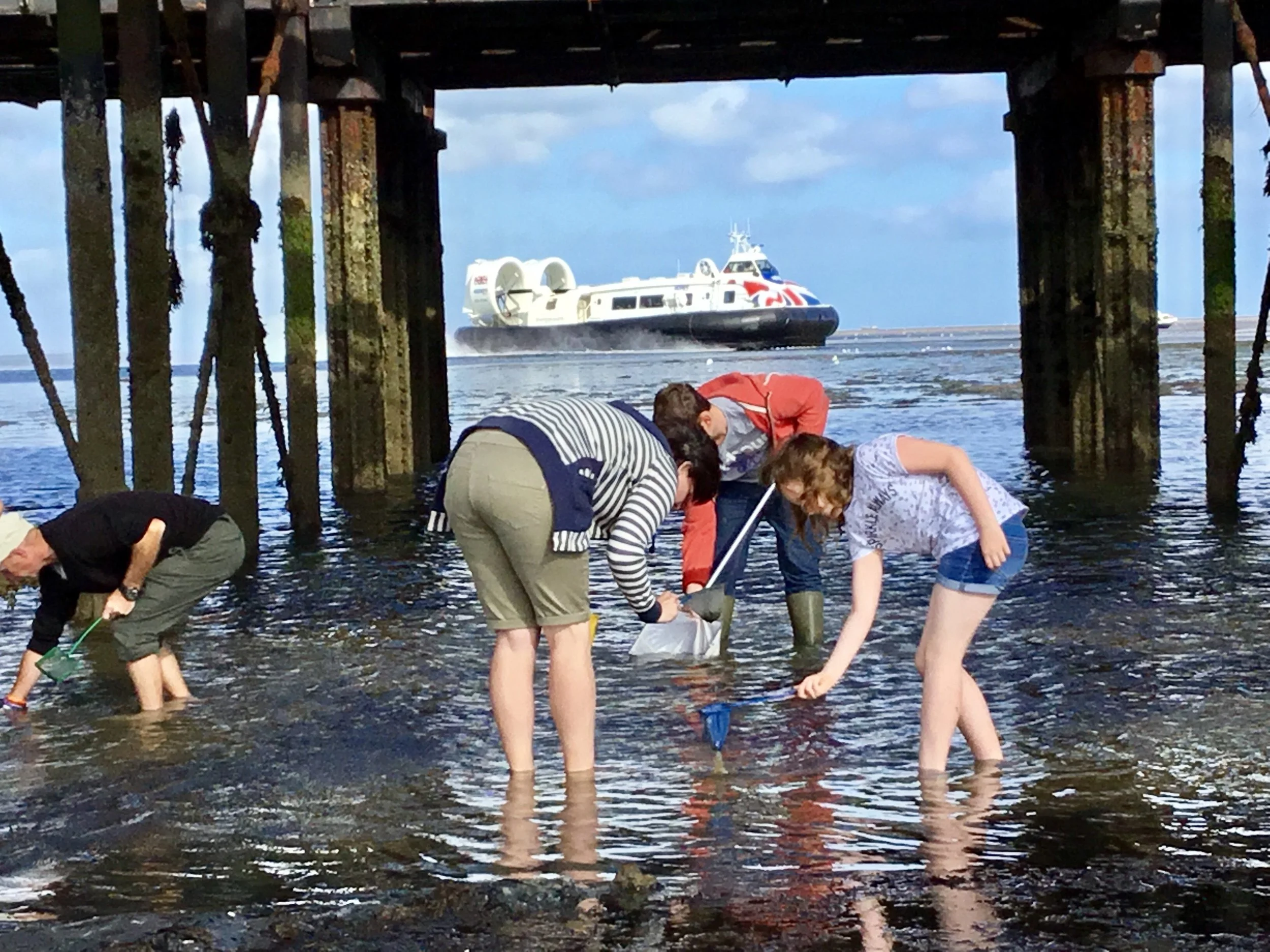 Hovercraft Under The Pier by Dan Roberts.jpg
