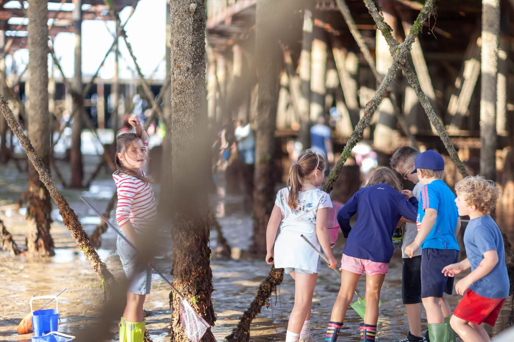 Under the Pier in a Biosphere pic by Julian Winslow