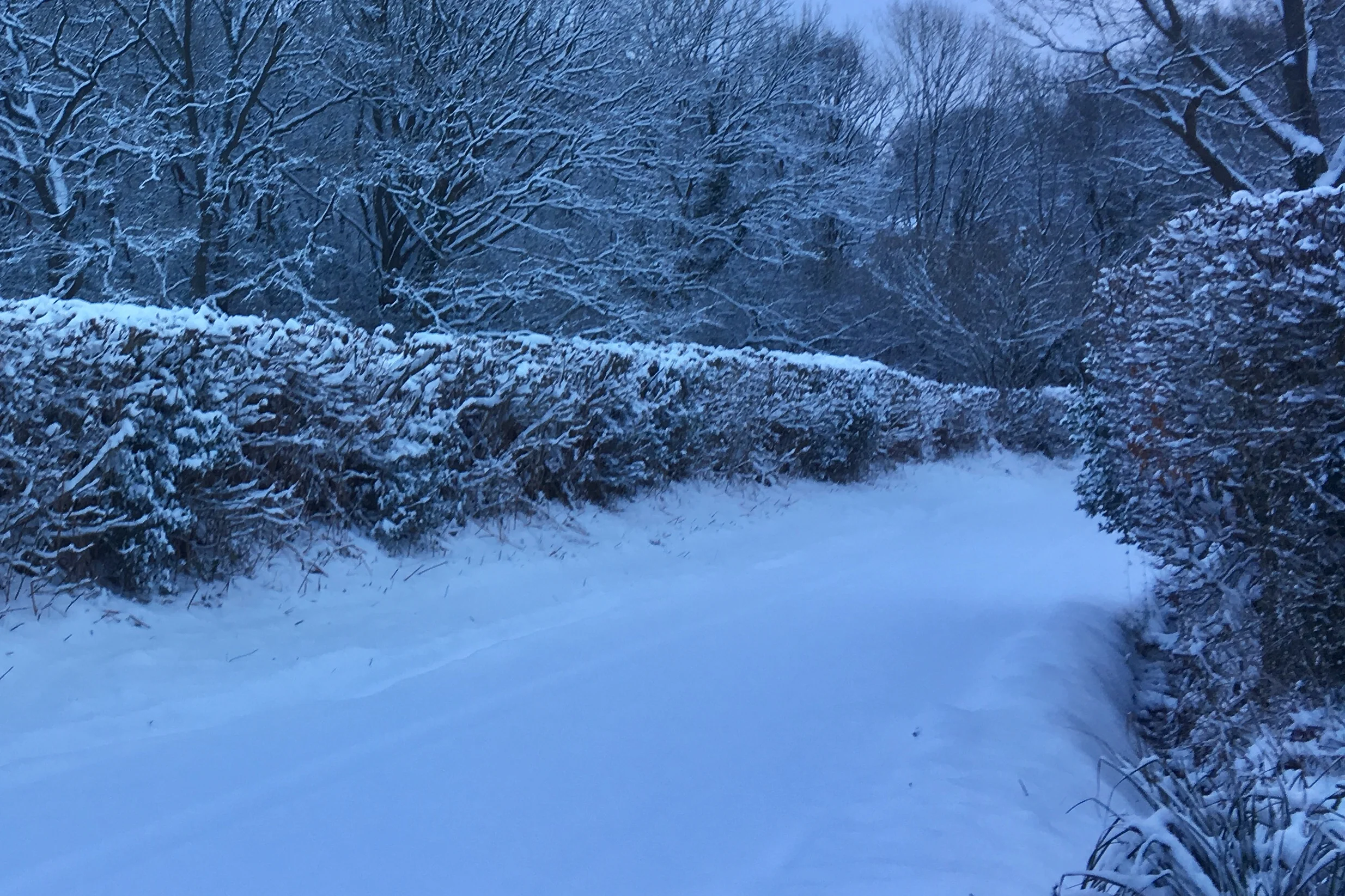 The lane outside my house