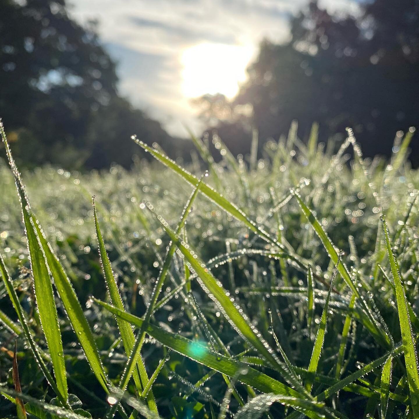 The weather is starting to change. I know this summer has been worryingly hot and it&rsquo;s gone on for so long (*cough, climate change*). But I love the sunshine. Would gladly give up Christmas for more summer. Might move to California.