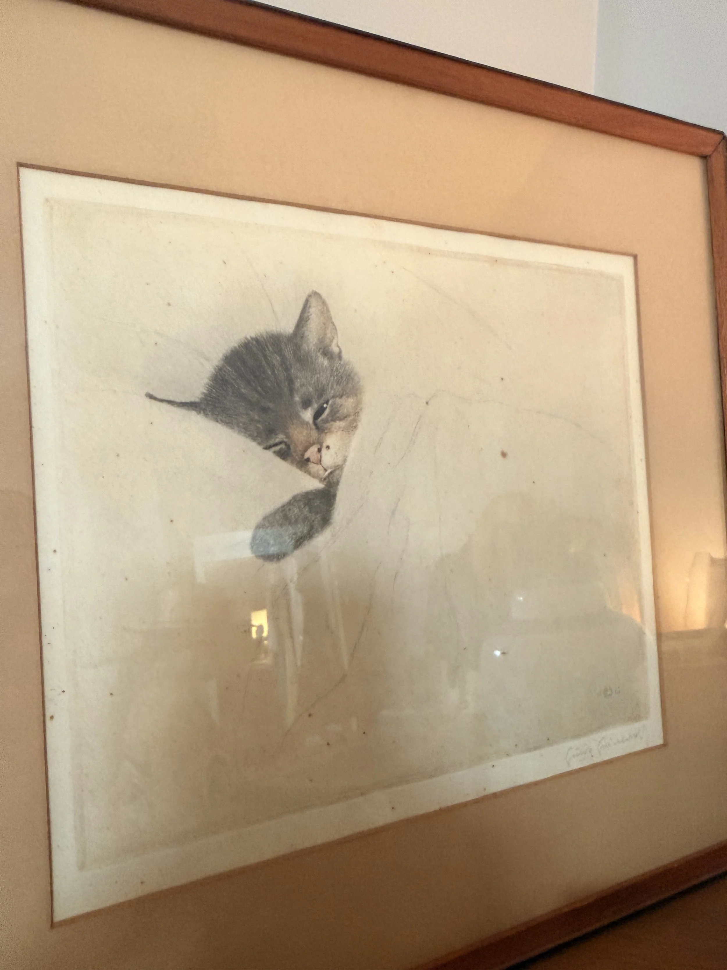 IMG_5163.jpeg