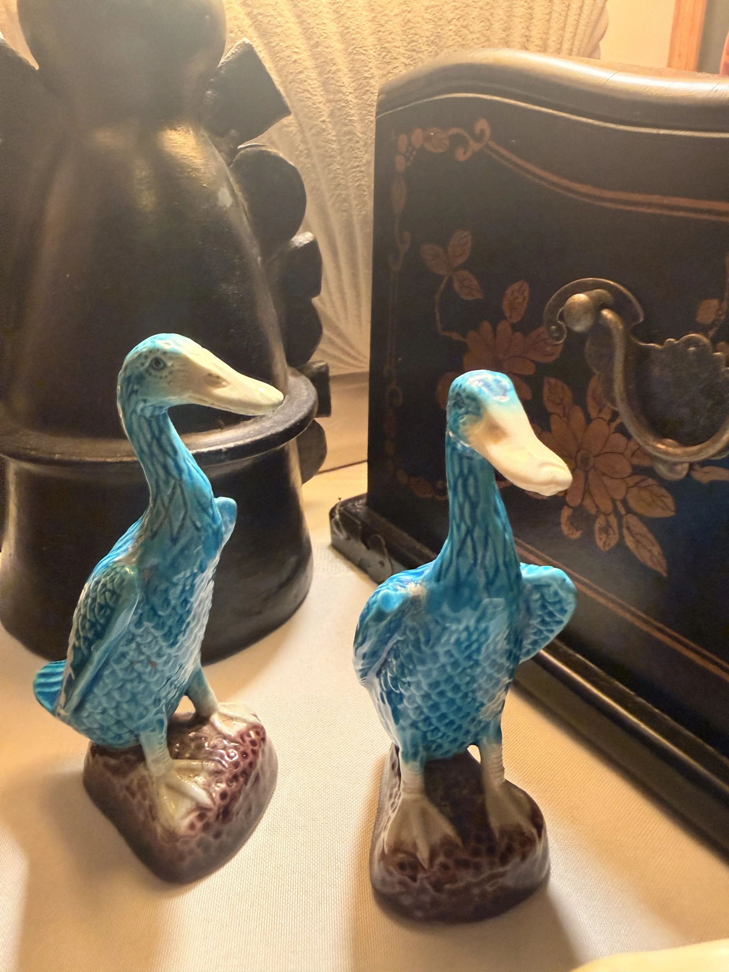 IMG_8874.jpeg
