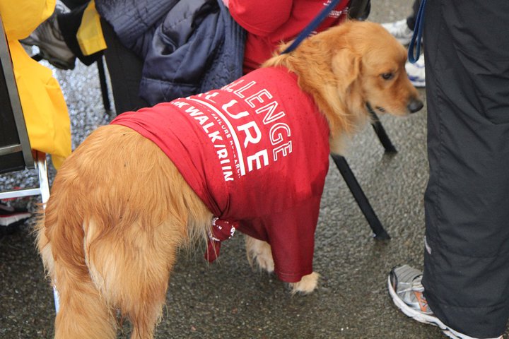 2011 CF Race Dog.jpg