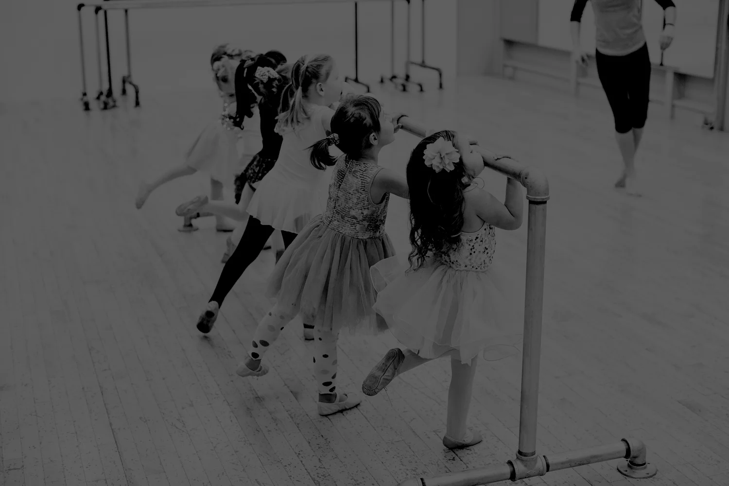 FLEX_TEACHING_1207_bw.jpg