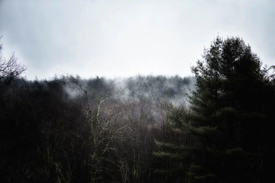 mist01.jpg