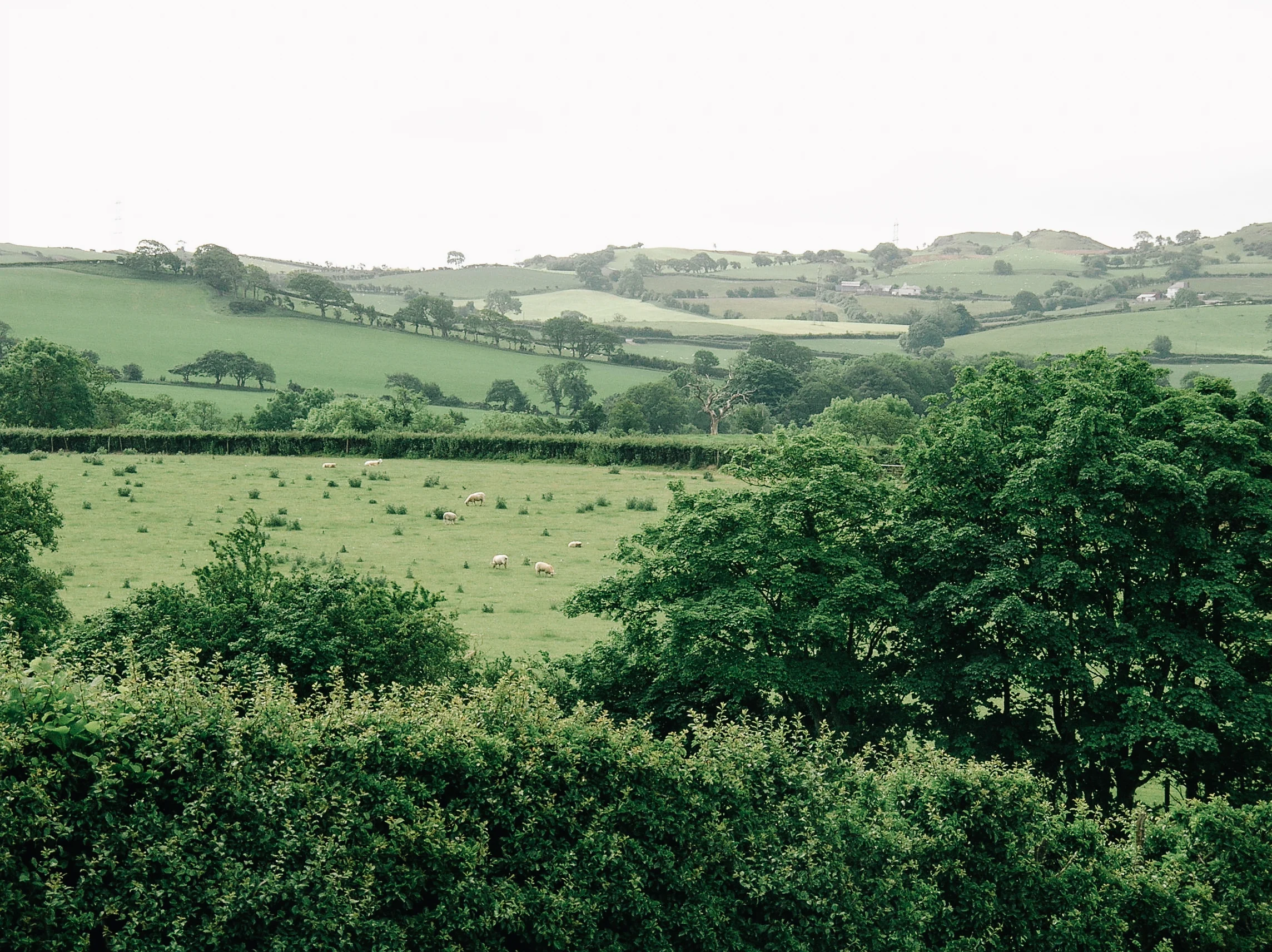 DSCN5537.jpg