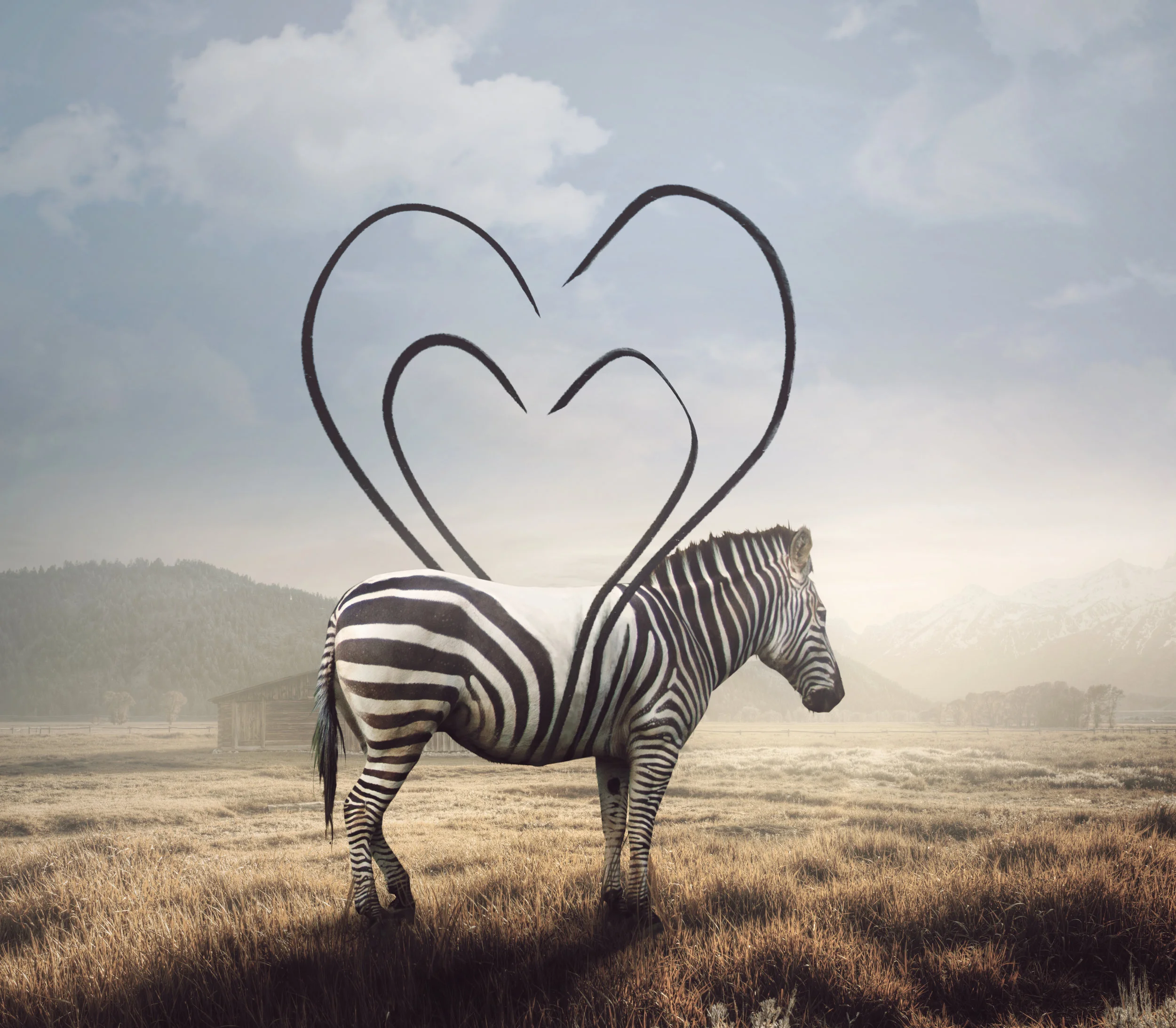 AdobeStock_202516640.jpeg
