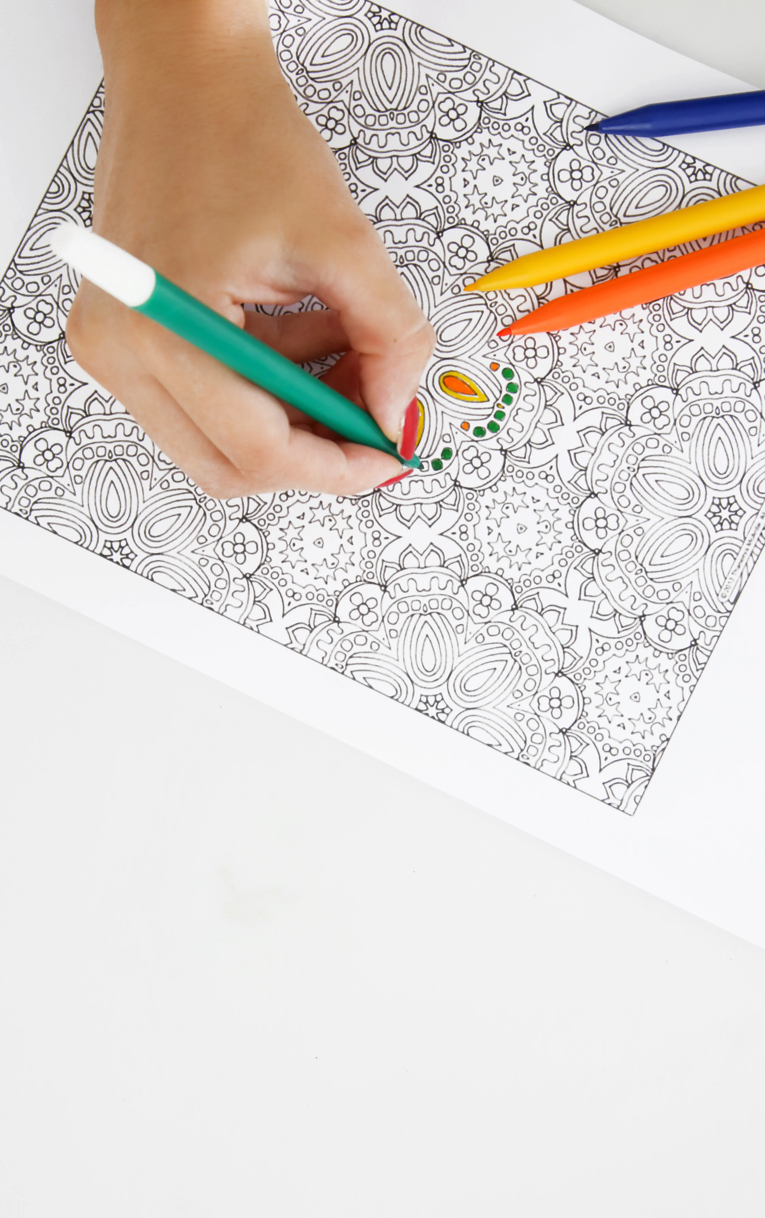 AdobeStock_110628828.jpeg