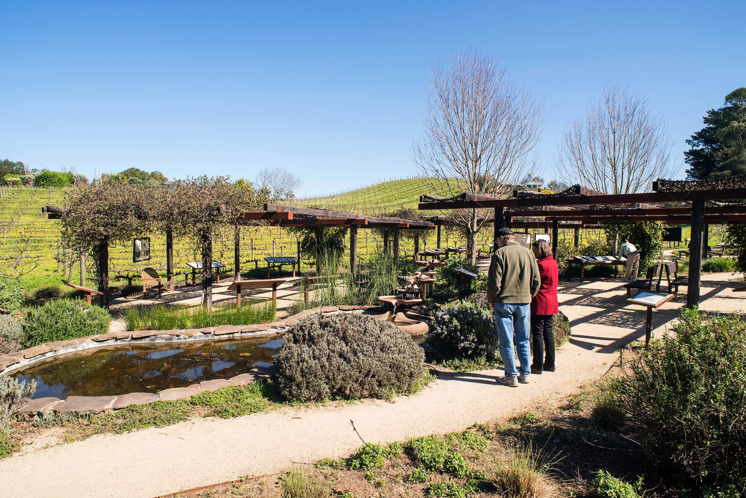 Glen Ellen Benziger Winery DSC_0234.jpg