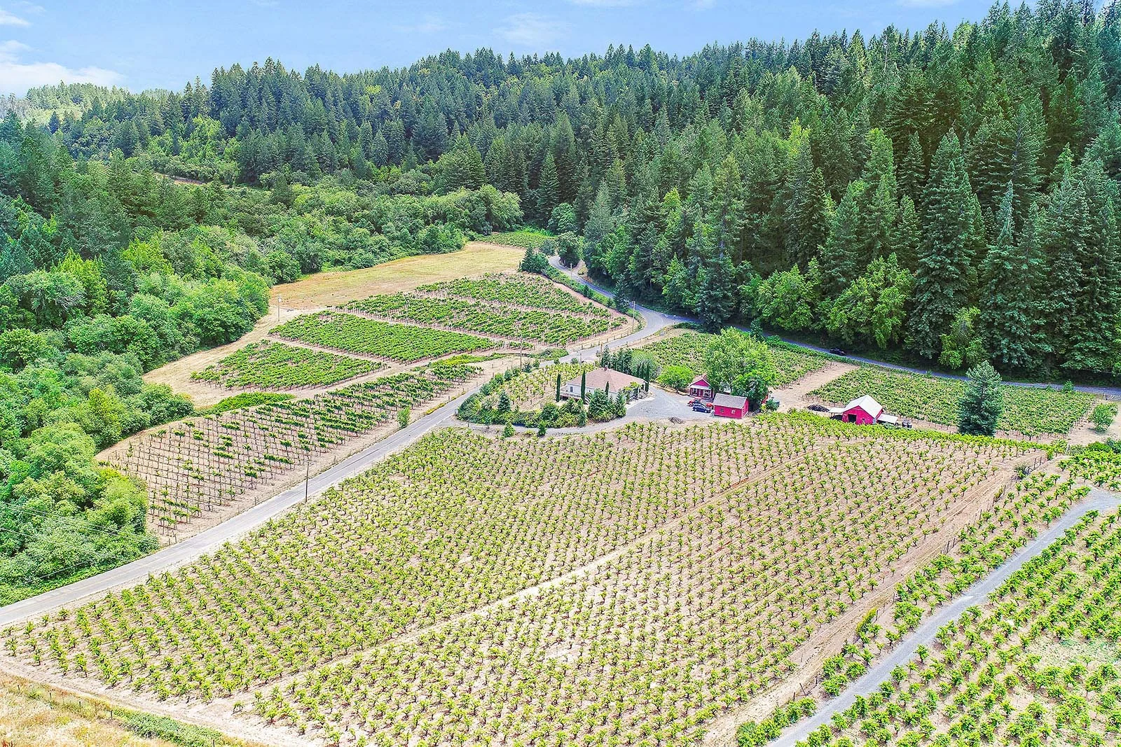 Aerial_07.jpg