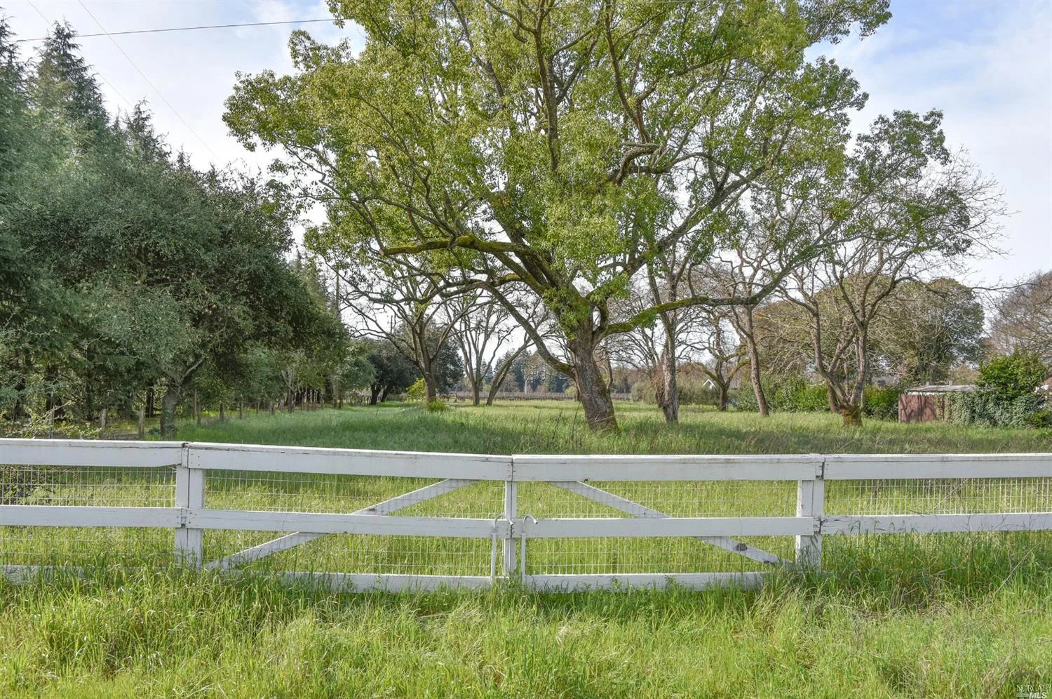 $1.195M | Hedgeside Avenue