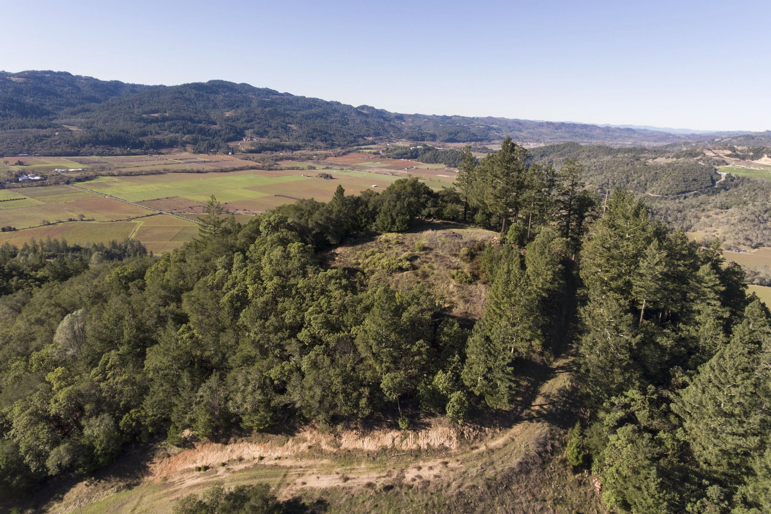 631_Lommel_Rd_Aerial__39.jpg