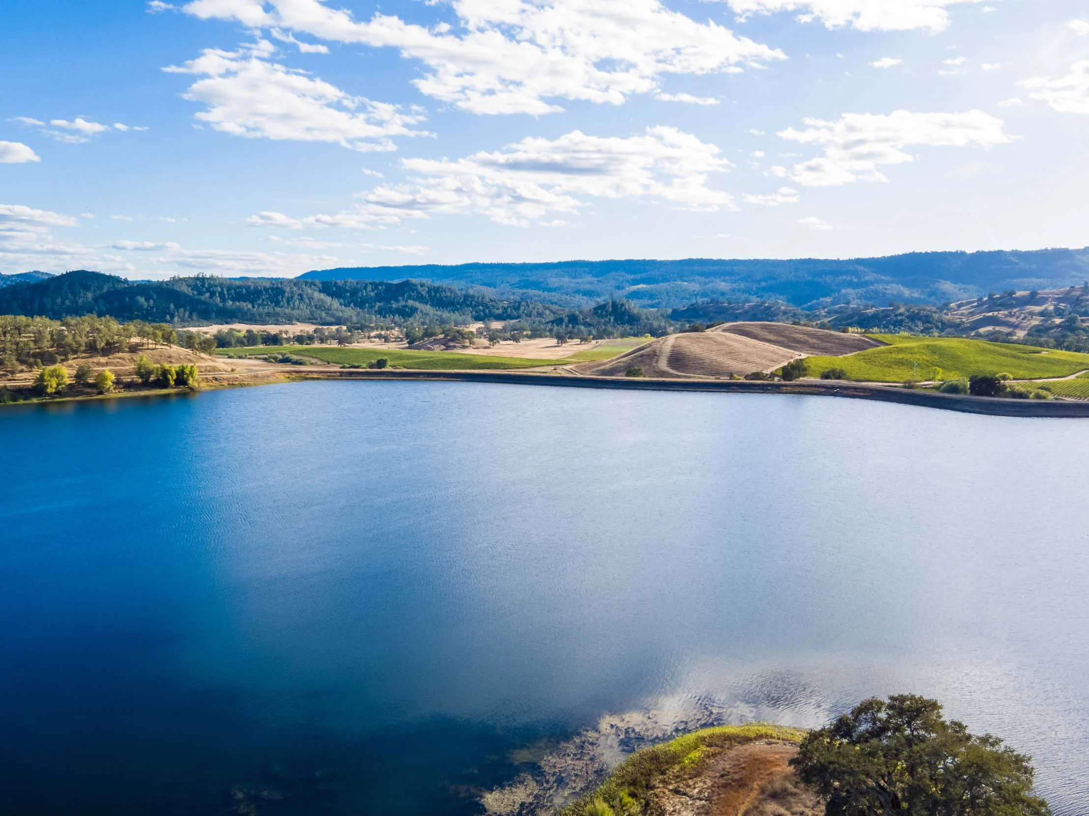 Aetna Springs | Price Confidential (Listed at $40M)