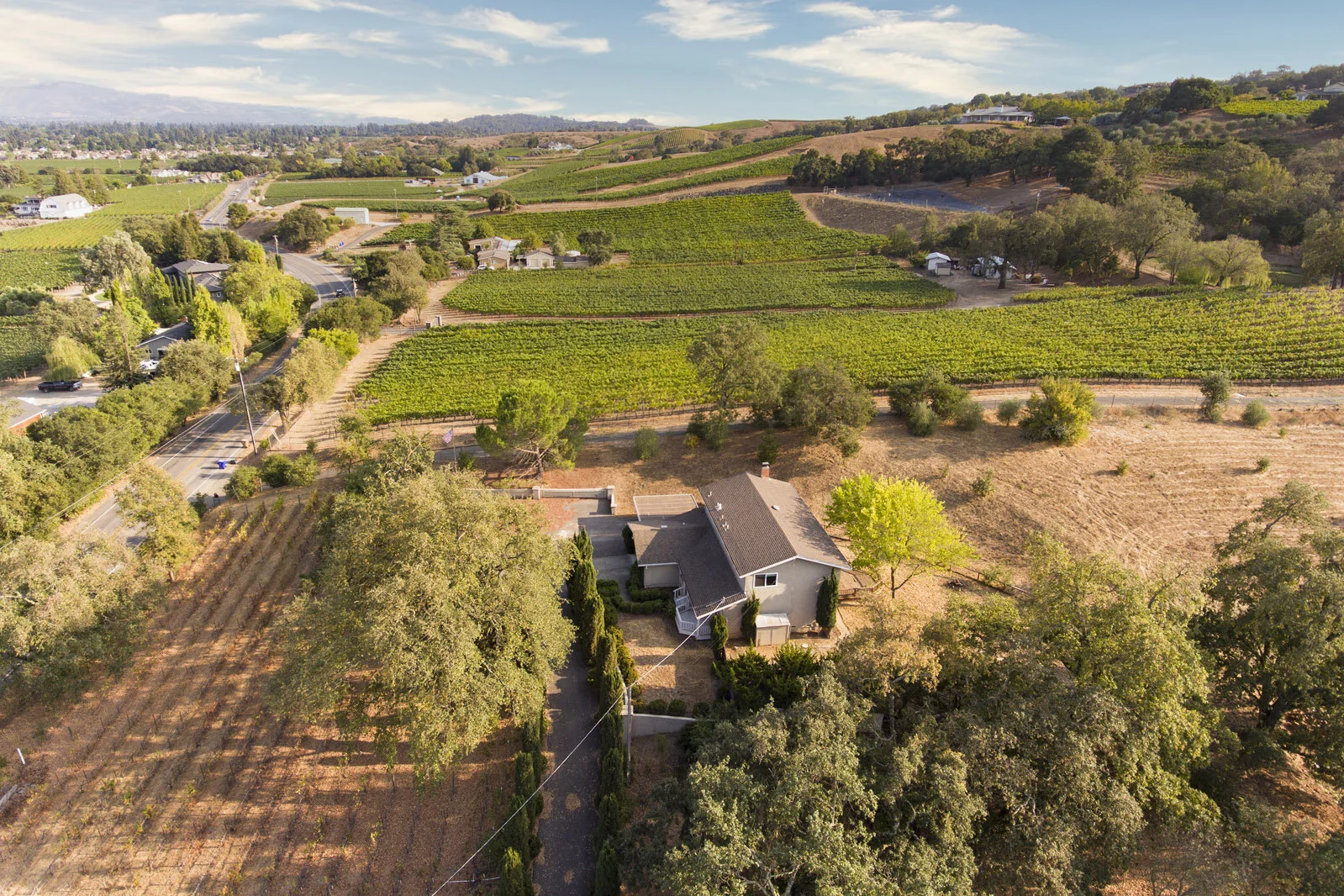 Napa Valley Vineyard Setting — Hillary Ryan Group — Napa County Real Estate