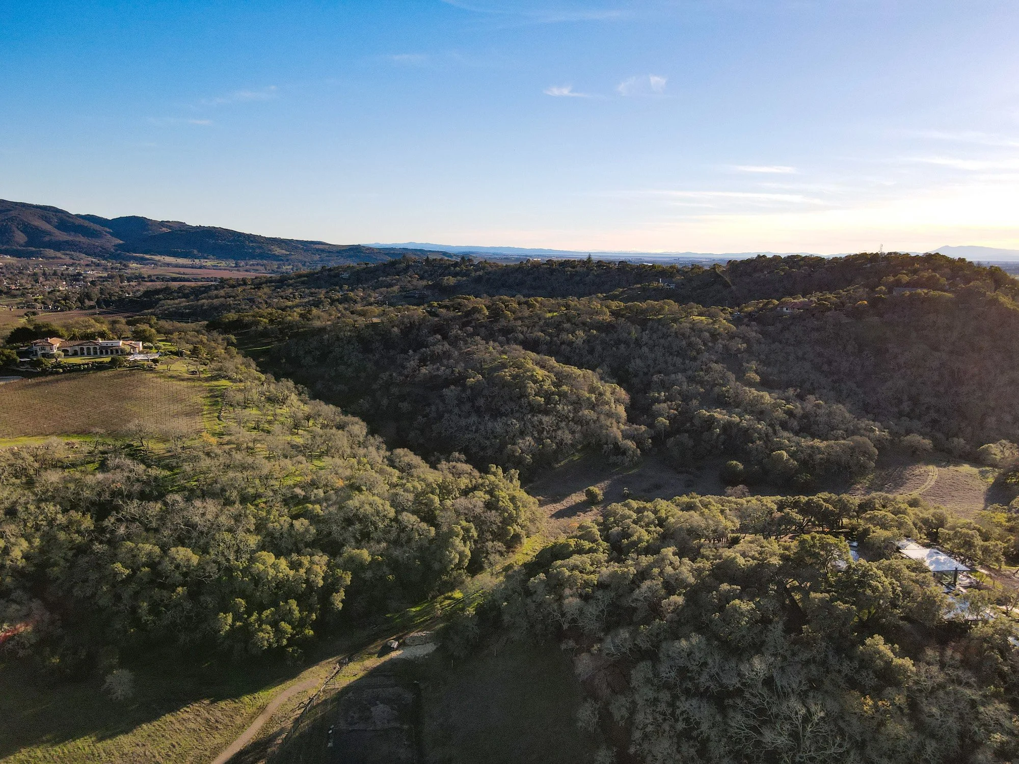 Napa Valley Building Site For Sale — Hillary Ryan Group — Napa and