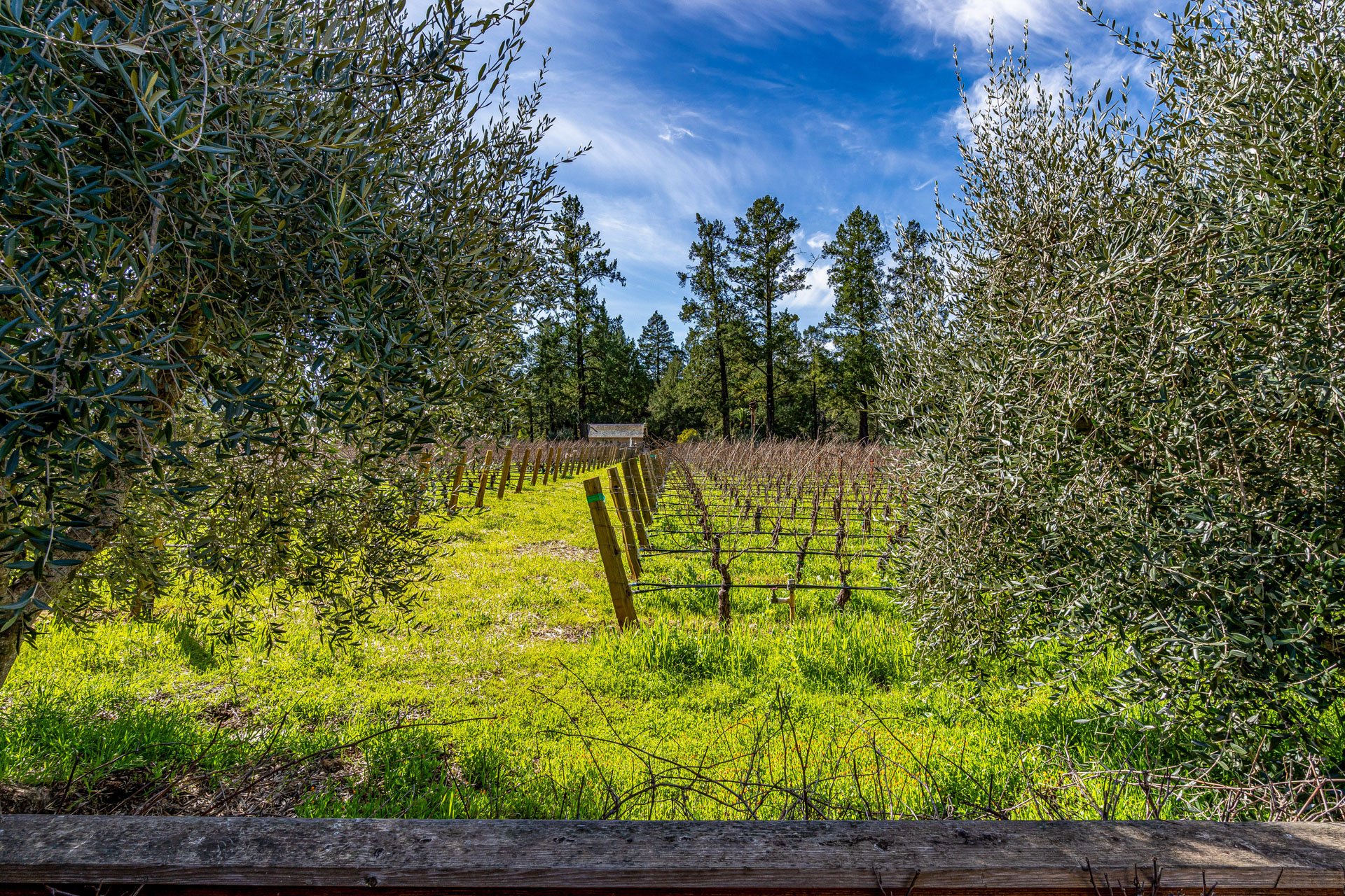 38_Napa-Valley_Luxury-Home_Sothebys_June-2025.jpg