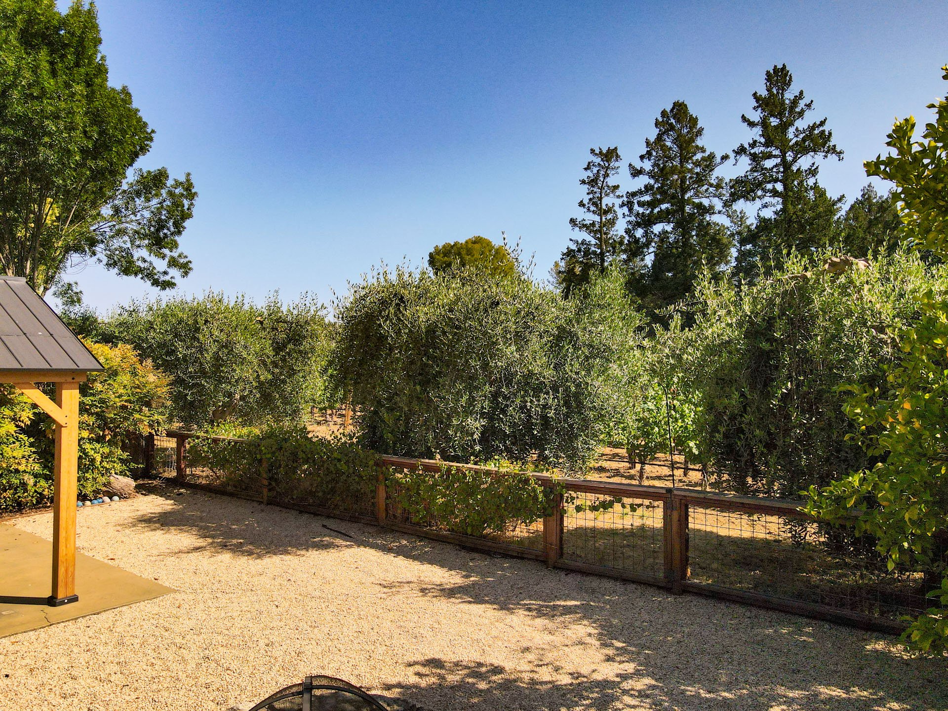 41_Napa-Valley_Luxury-Home_Sothebys_June-2025.jpg