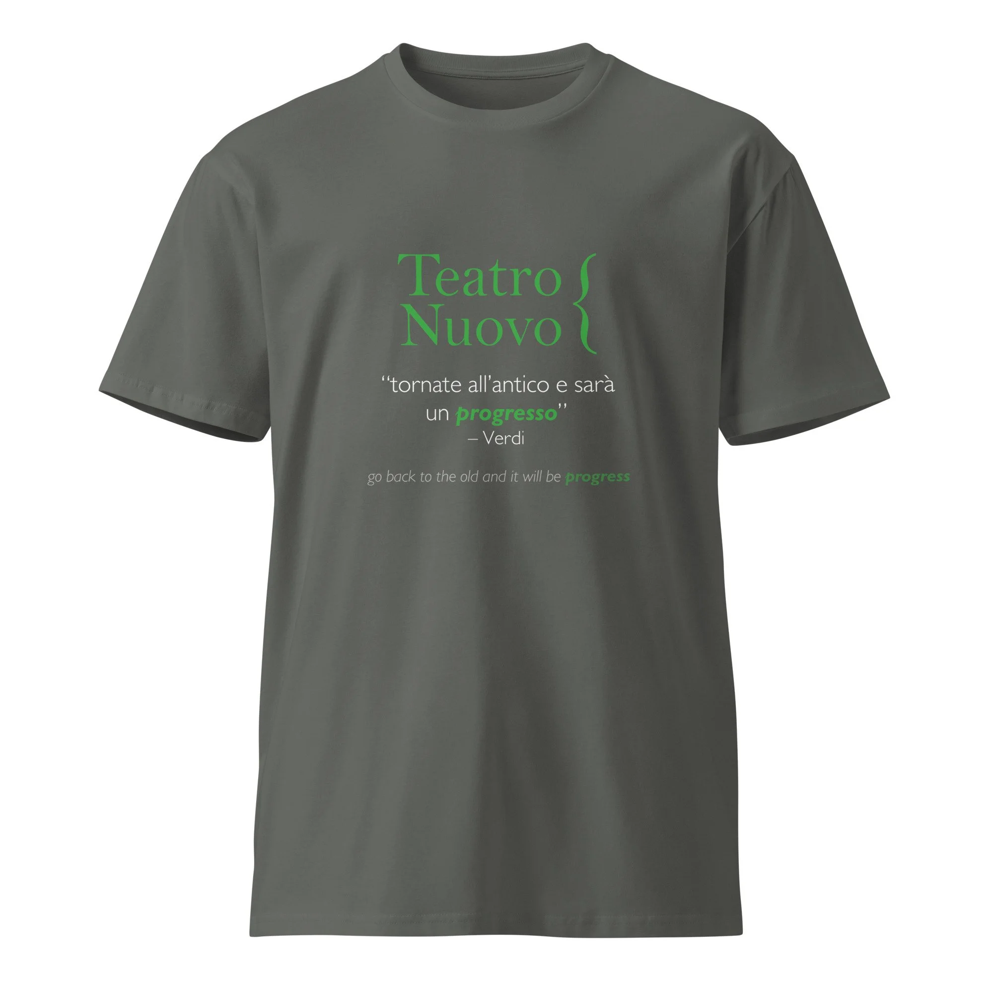 unisex-premium-t-shirt-charcoal-front-665e284197f81.jpg
