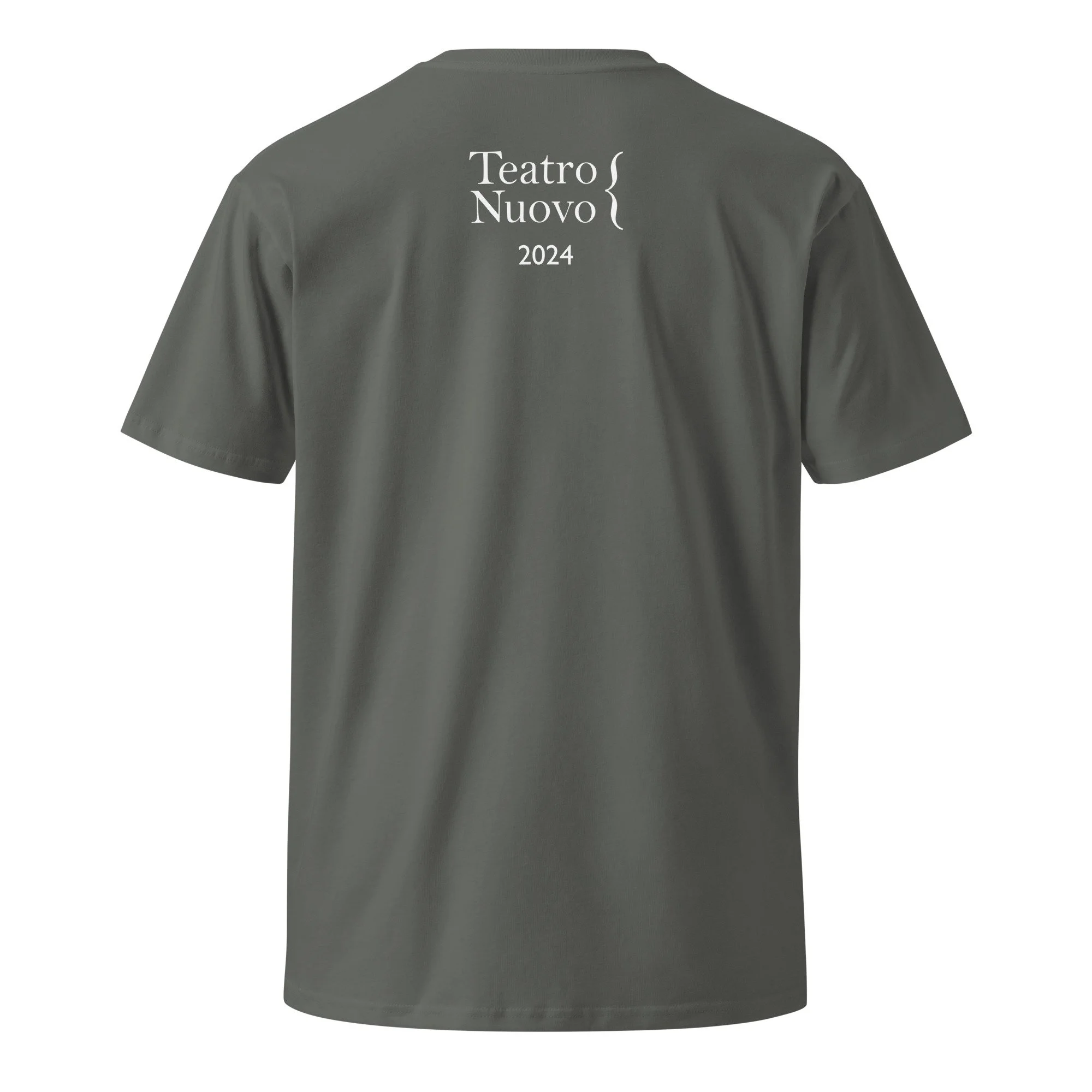 unisex-premium-t-shirt-charcoal-back-668461ec4c275.jpg