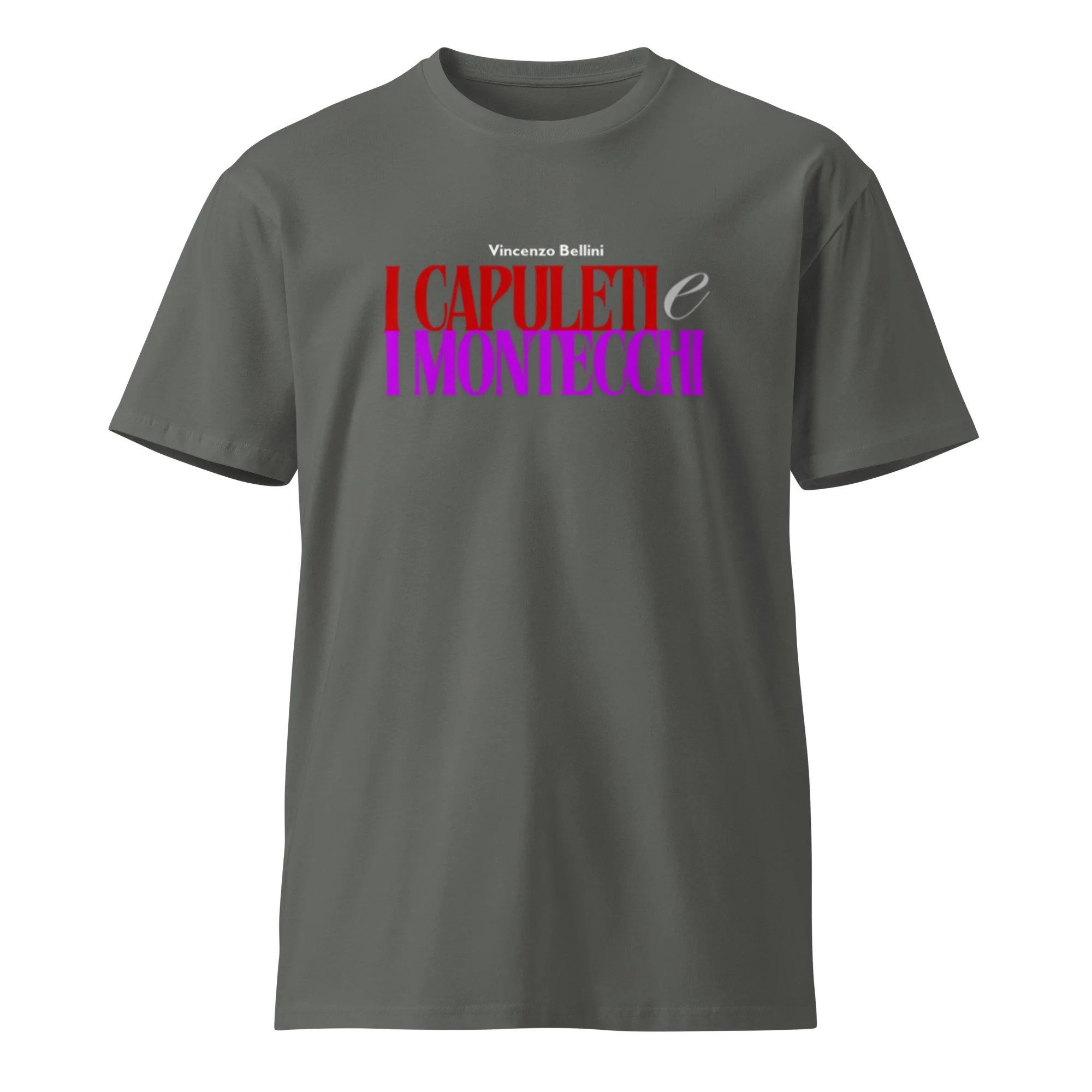 unisex-premium-t-shirt-charcoal-front-6691af40f1ec1.jpg