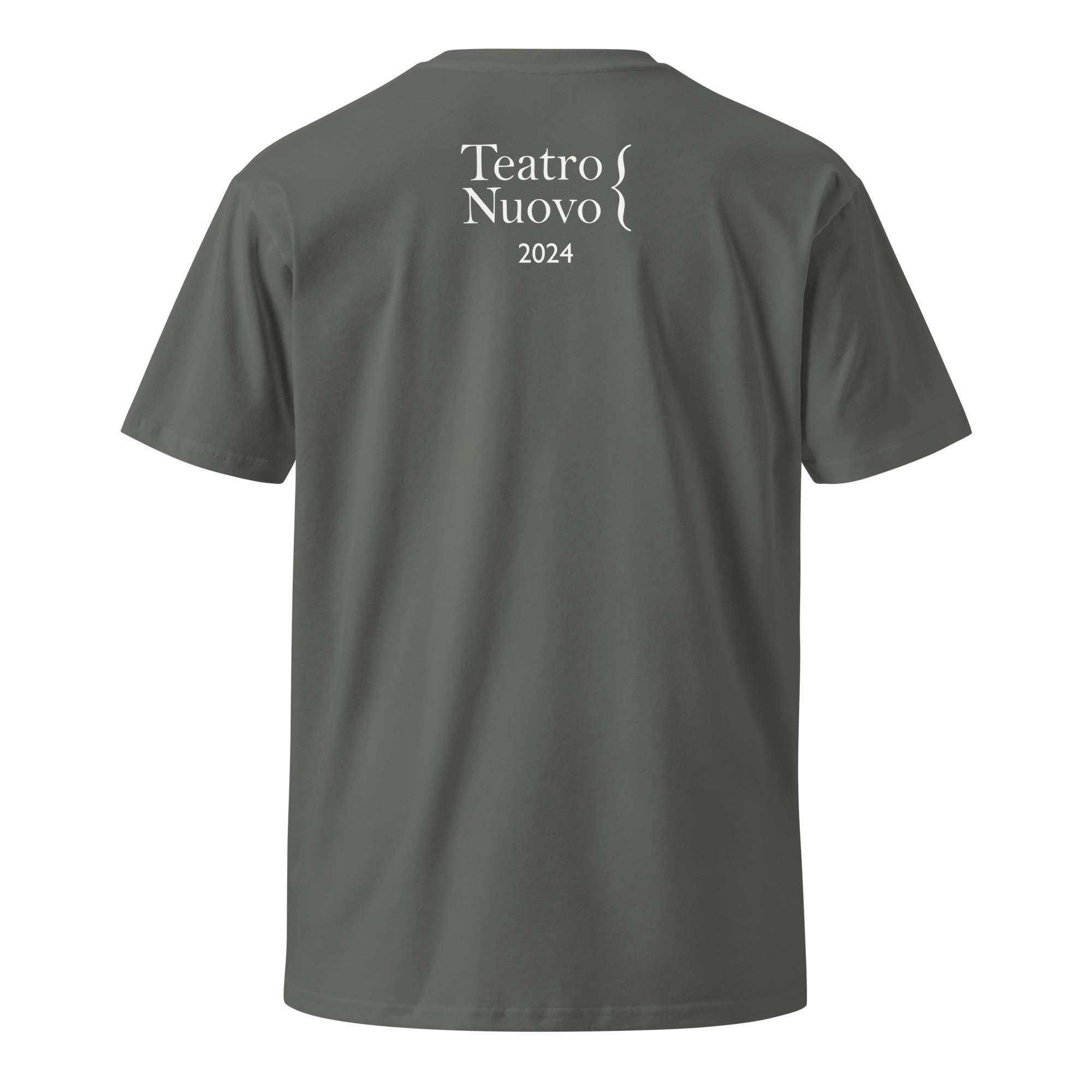 unisex-premium-t-shirt-charcoal-back-6691af40f32bf.jpg