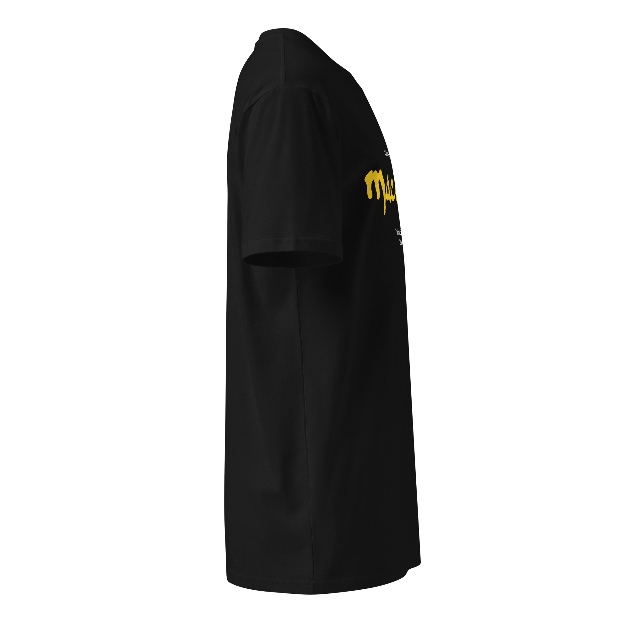 unisex-premium-t-shirt-black-right-683c5f6cd75ed.png