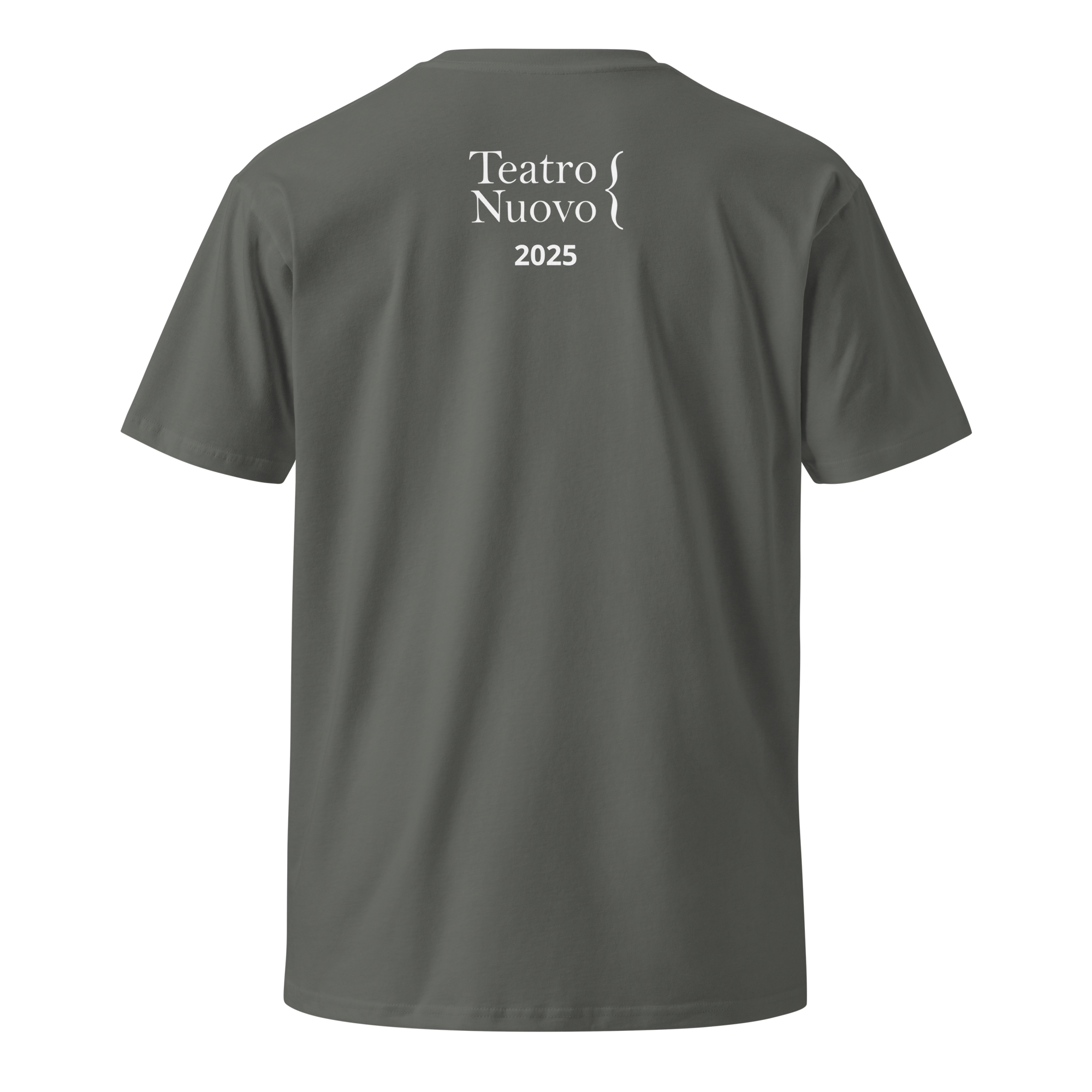 unisex-premium-t-shirt-charcoal-back-683c5f6cd9b72.png