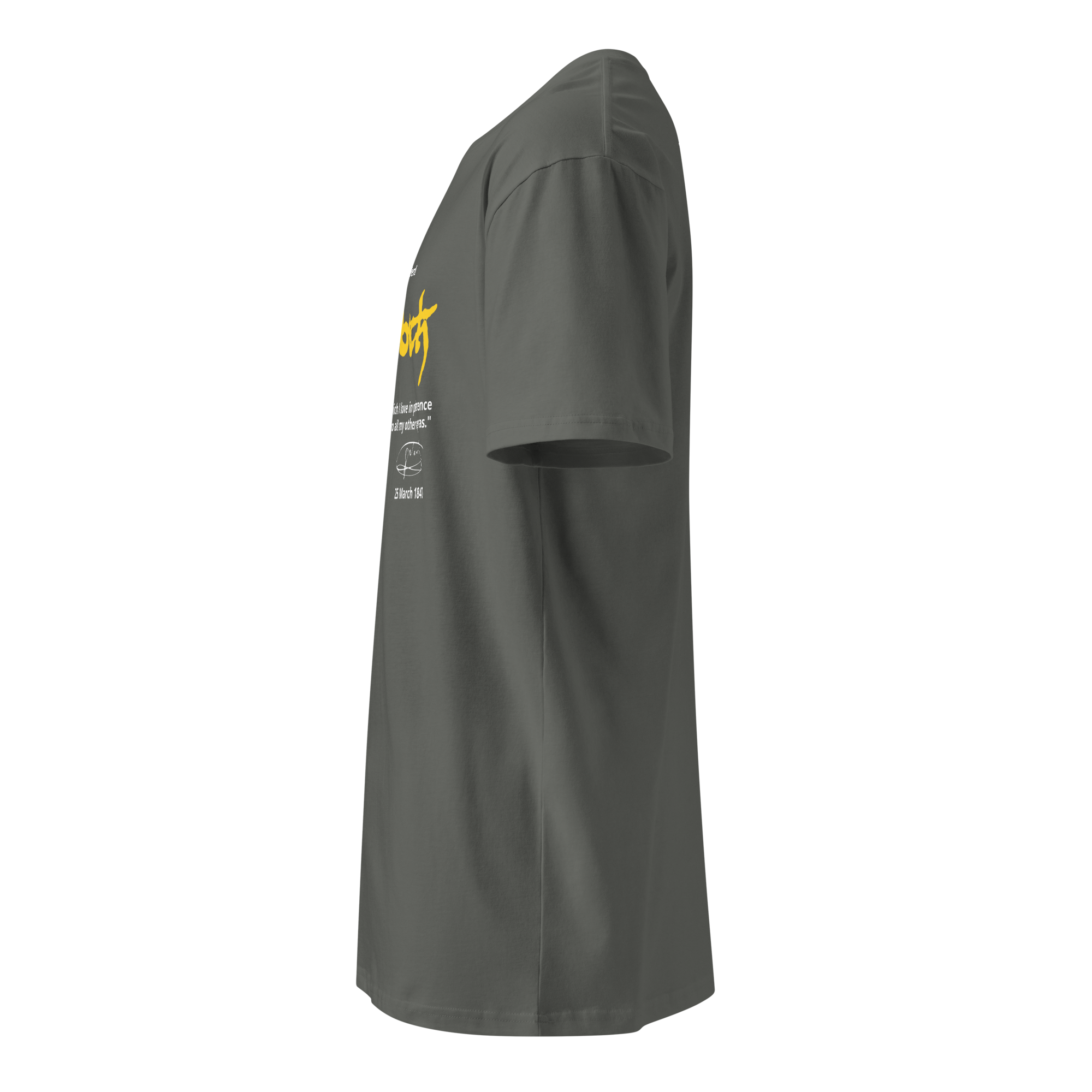 unisex-premium-t-shirt-charcoal-left-683c5f6cda4e4.png