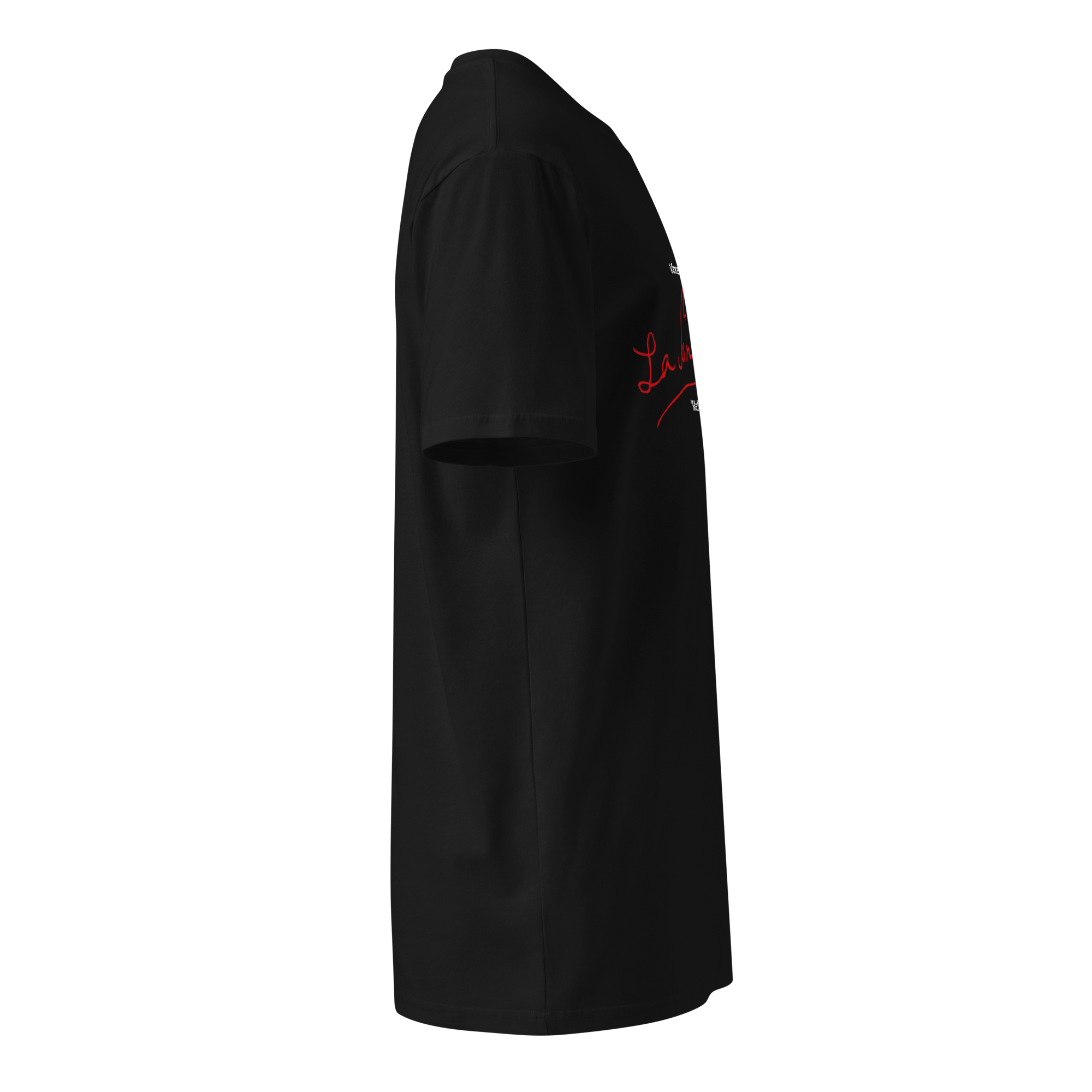 unisex-premium-t-shirt-black-right-683c620833c00.png