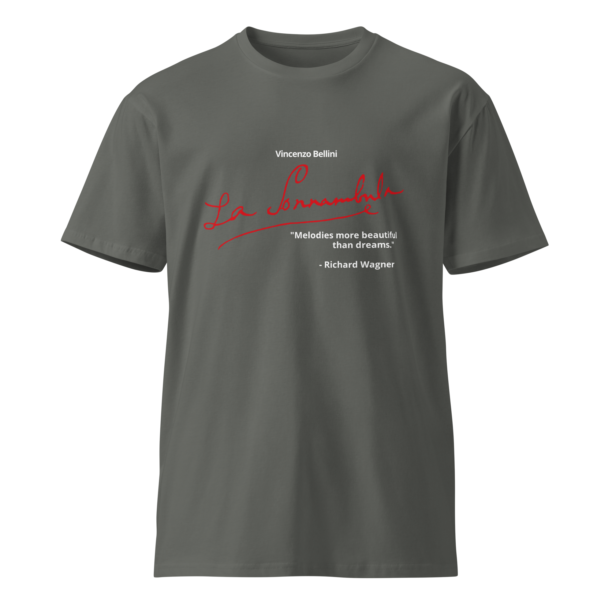 unisex-premium-t-shirt-charcoal-front-683c620835c80.png