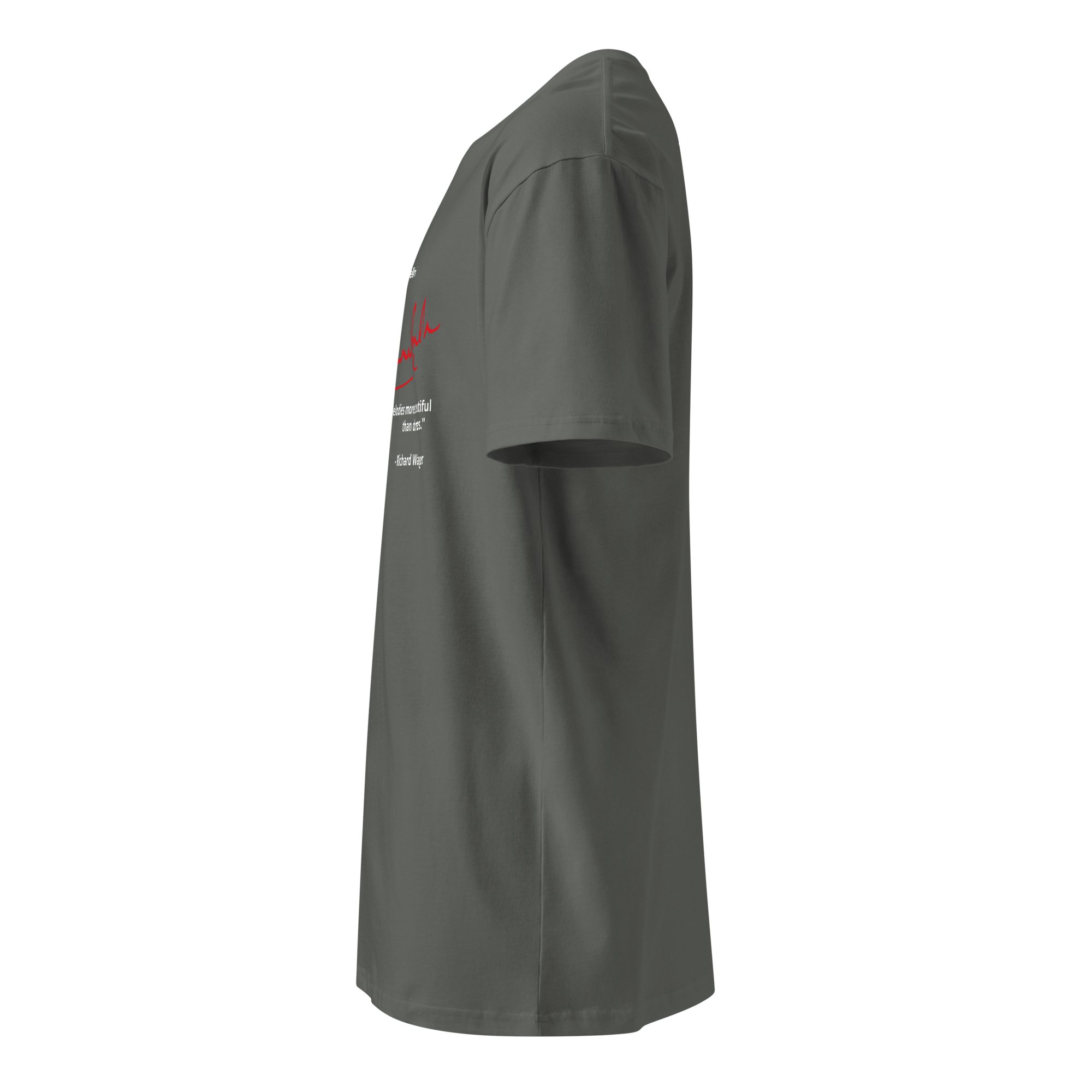 unisex-premium-t-shirt-charcoal-left-683c620837692.png