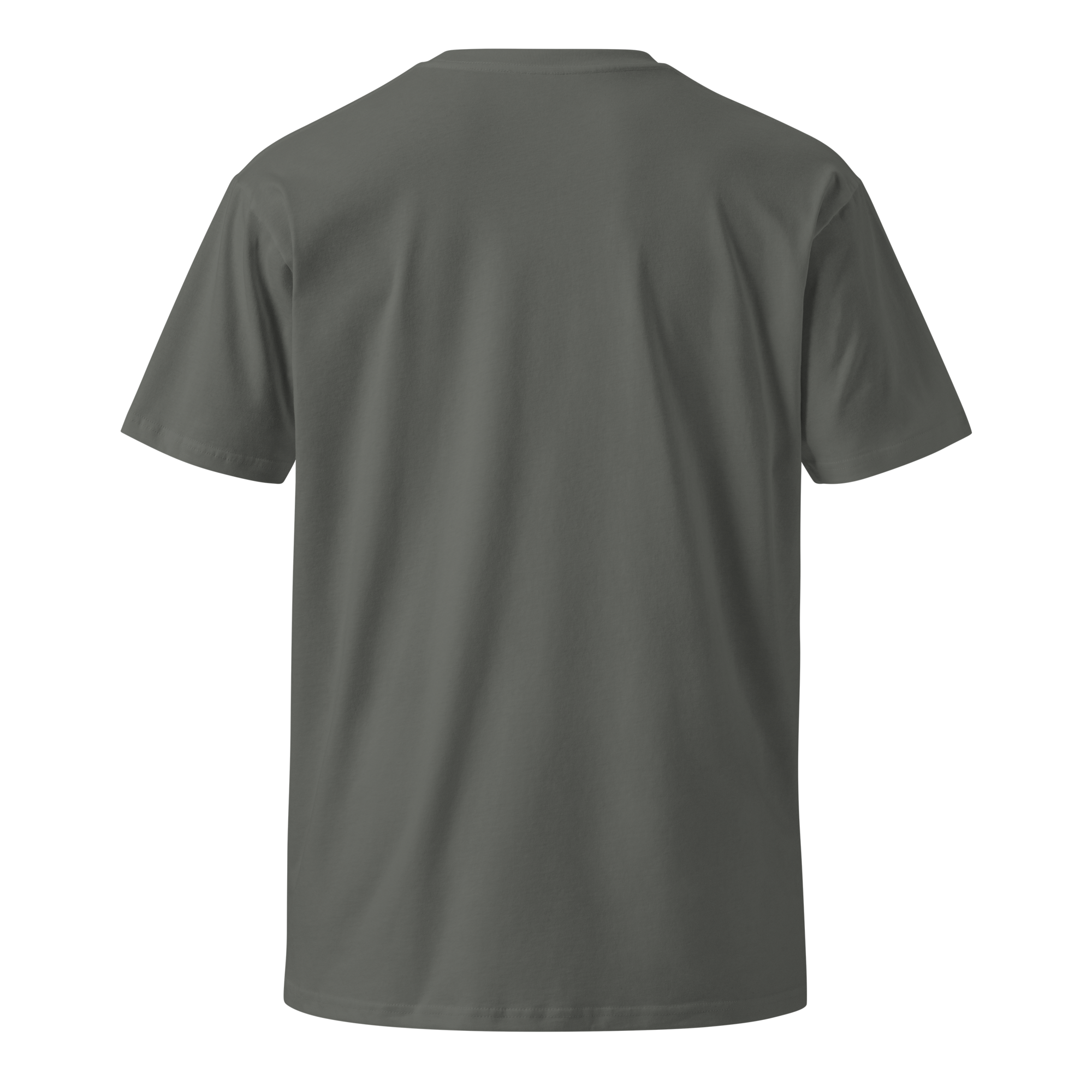 unisex-premium-t-shirt-charcoal-back-683c653eede2a.png