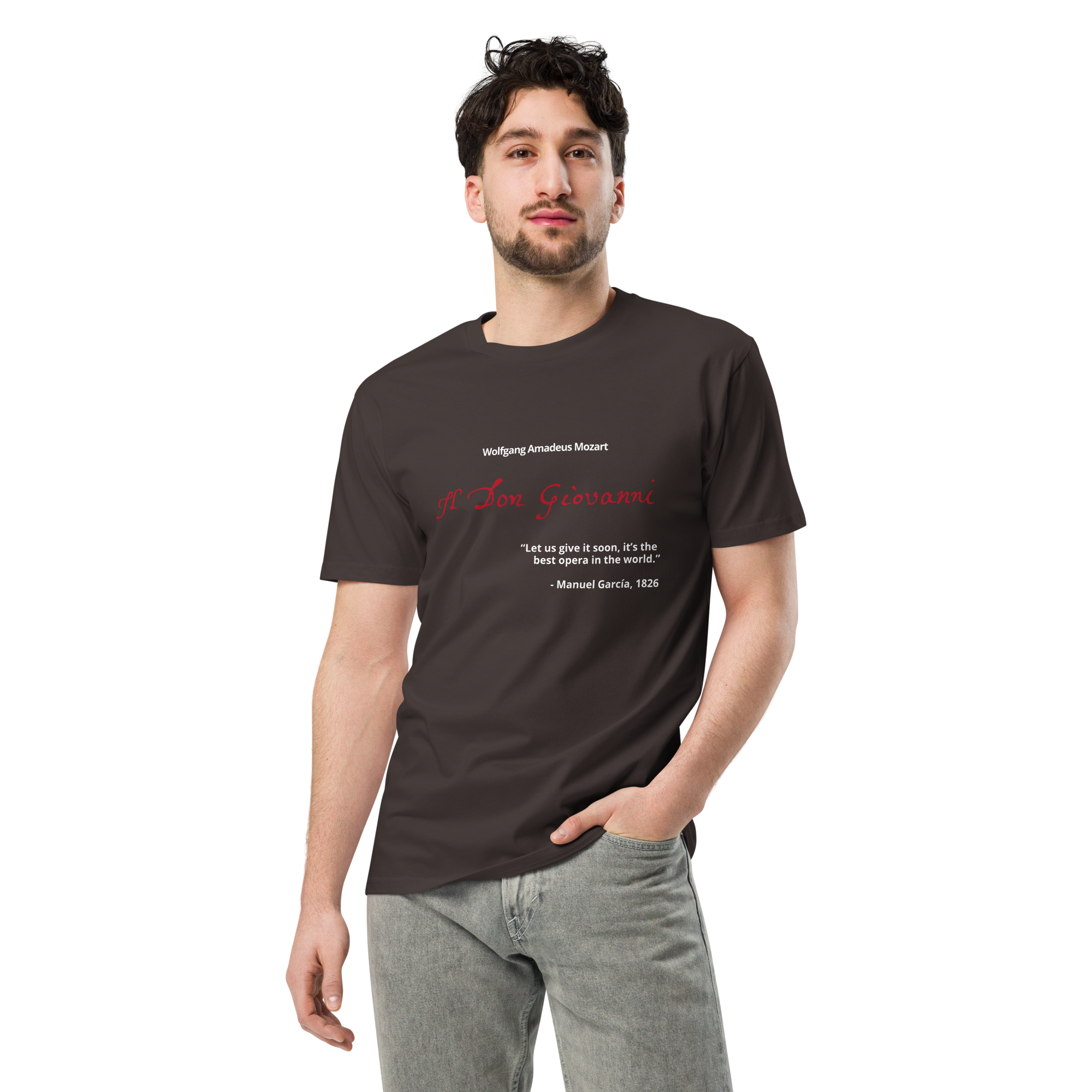 unisex-premium-t-shirt-coal-front-6a2b93c4a4e95.png