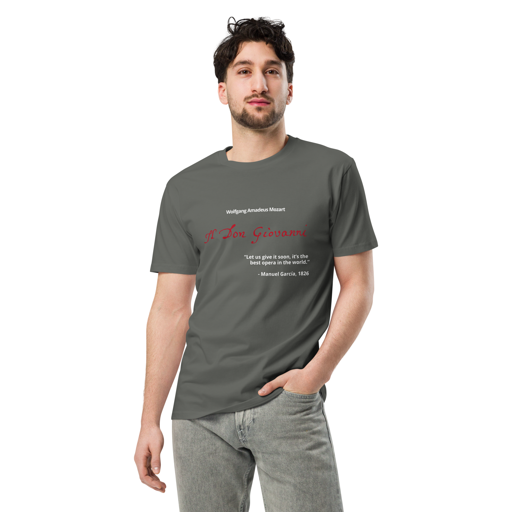 unisex-premium-t-shirt-charcoal-front-6a2b93c4aa3e8.png