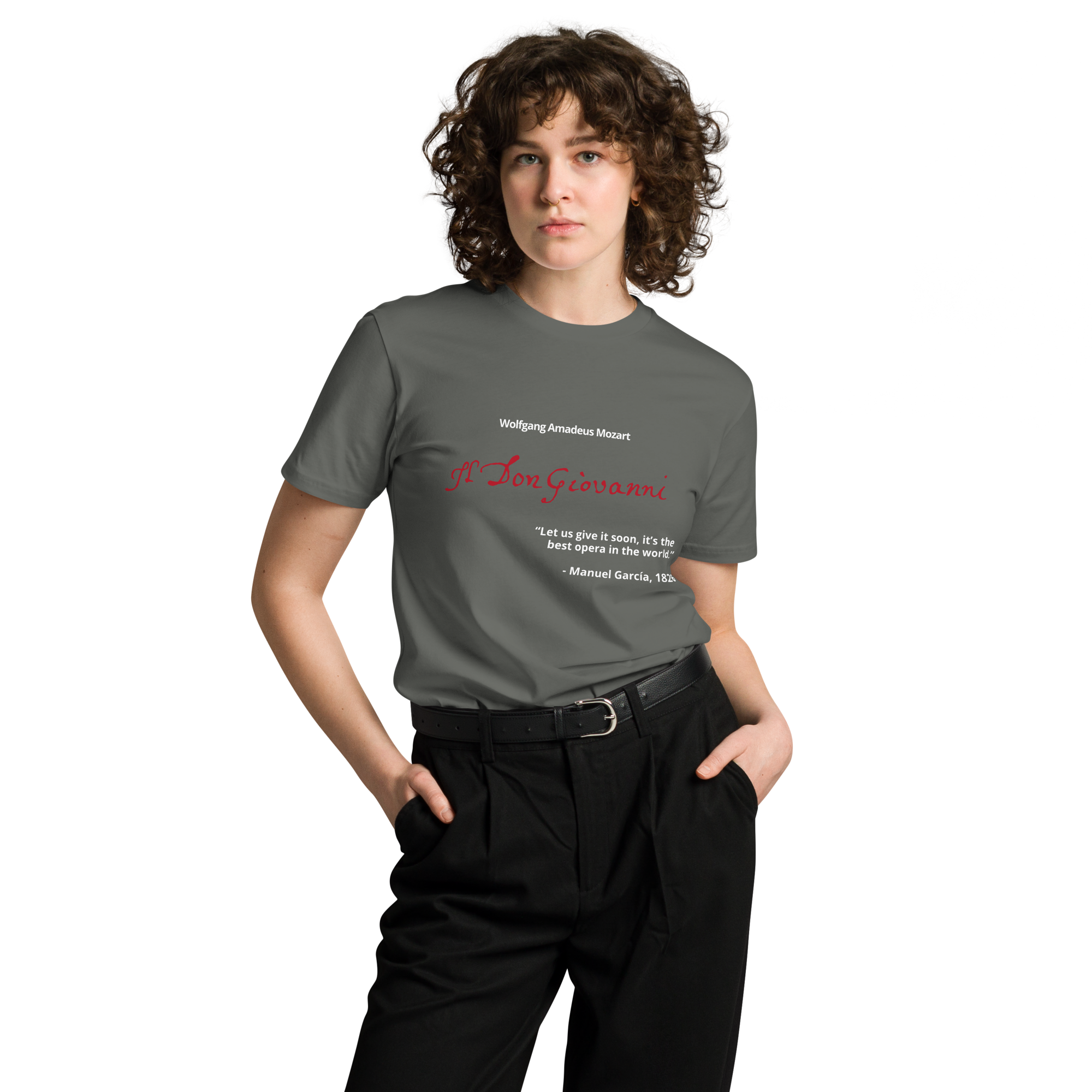 unisex-premium-t-shirt-charcoal-front-6a3cfc6c04d7f.png