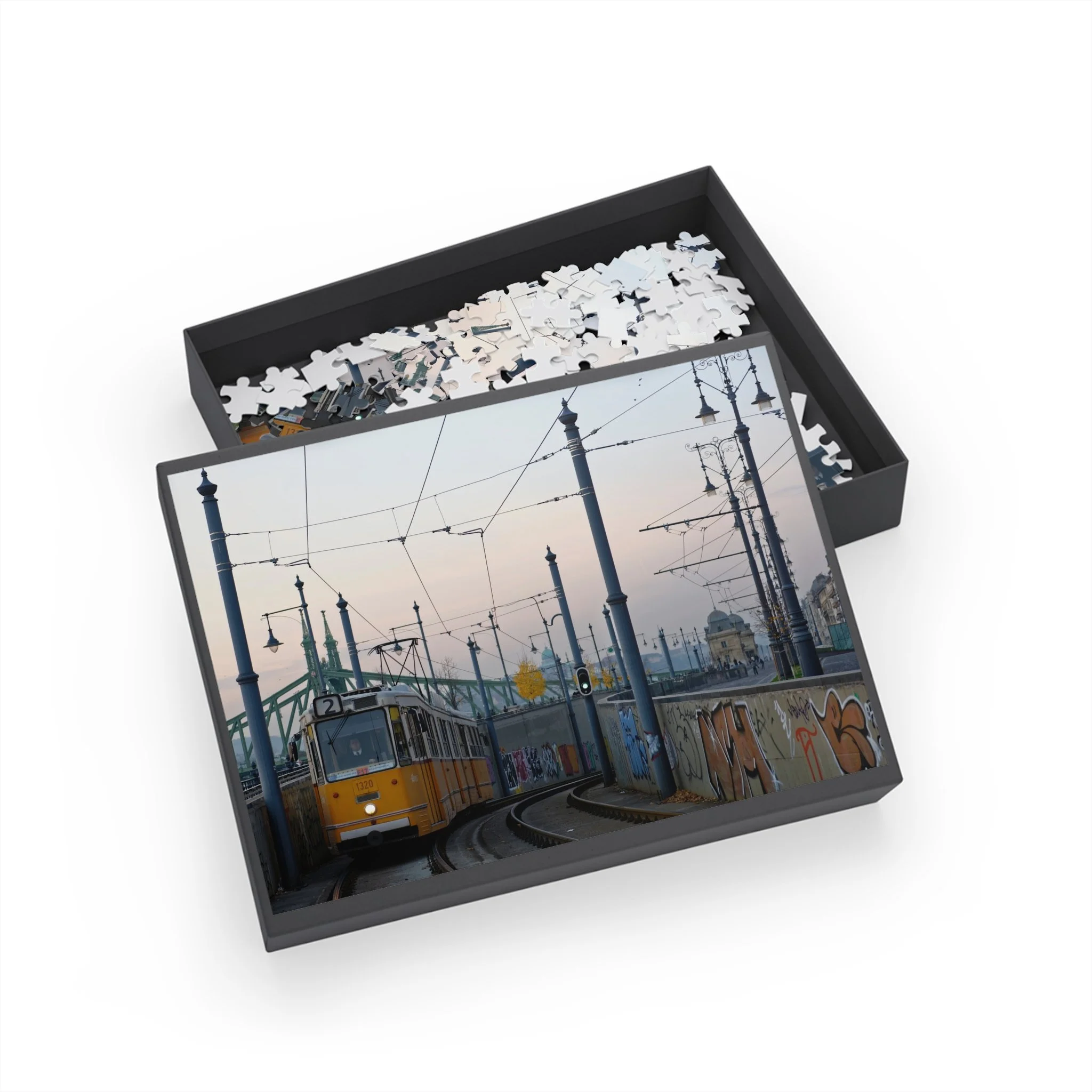 e1573a8f0bd5aae9d62724d59a6f55e2