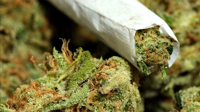 pot+weed.jpg