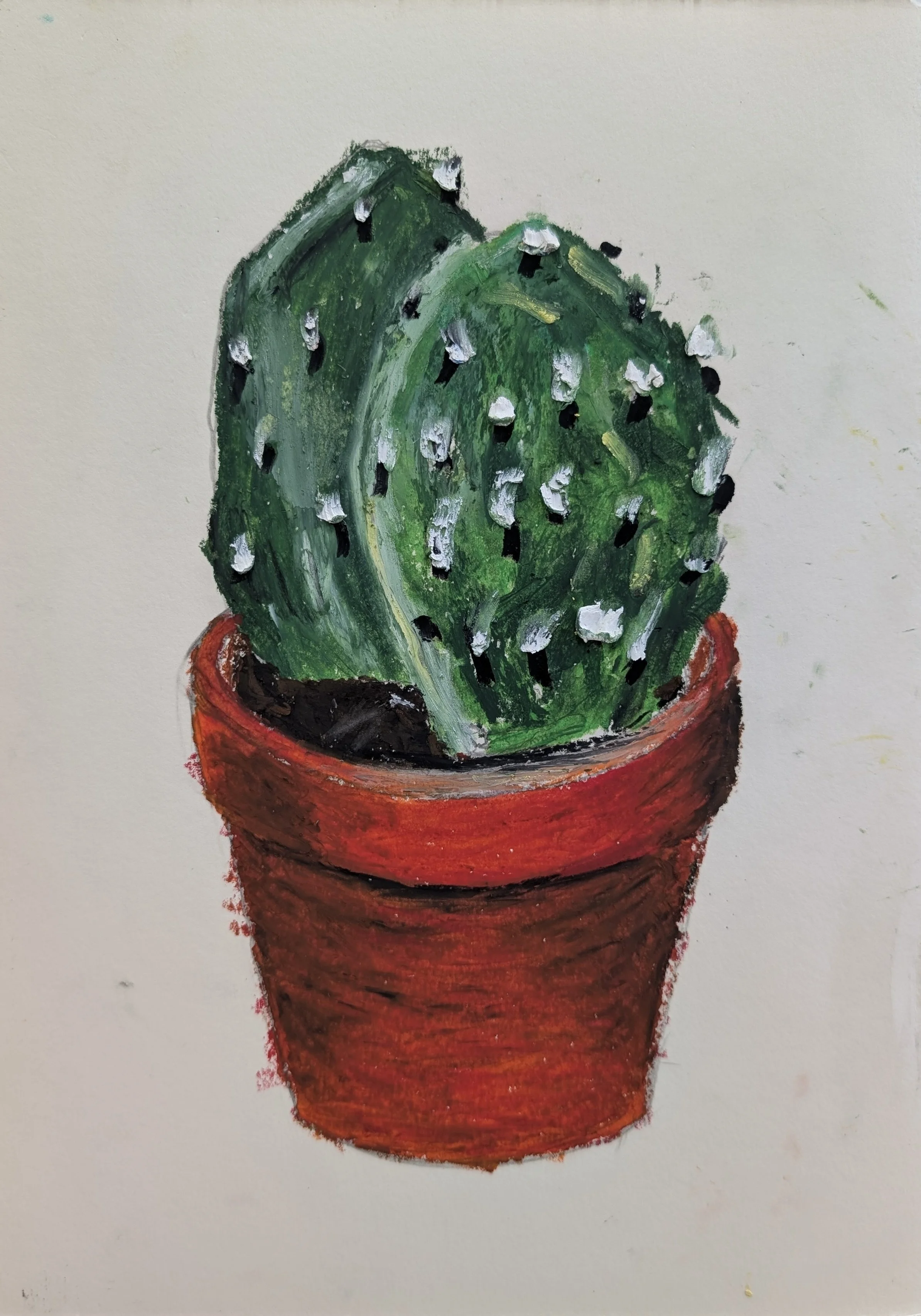 Cactus