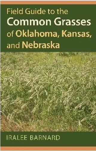 HOW TO KNOW YOUR GRASS FROM A HOLE IN THE GROUND