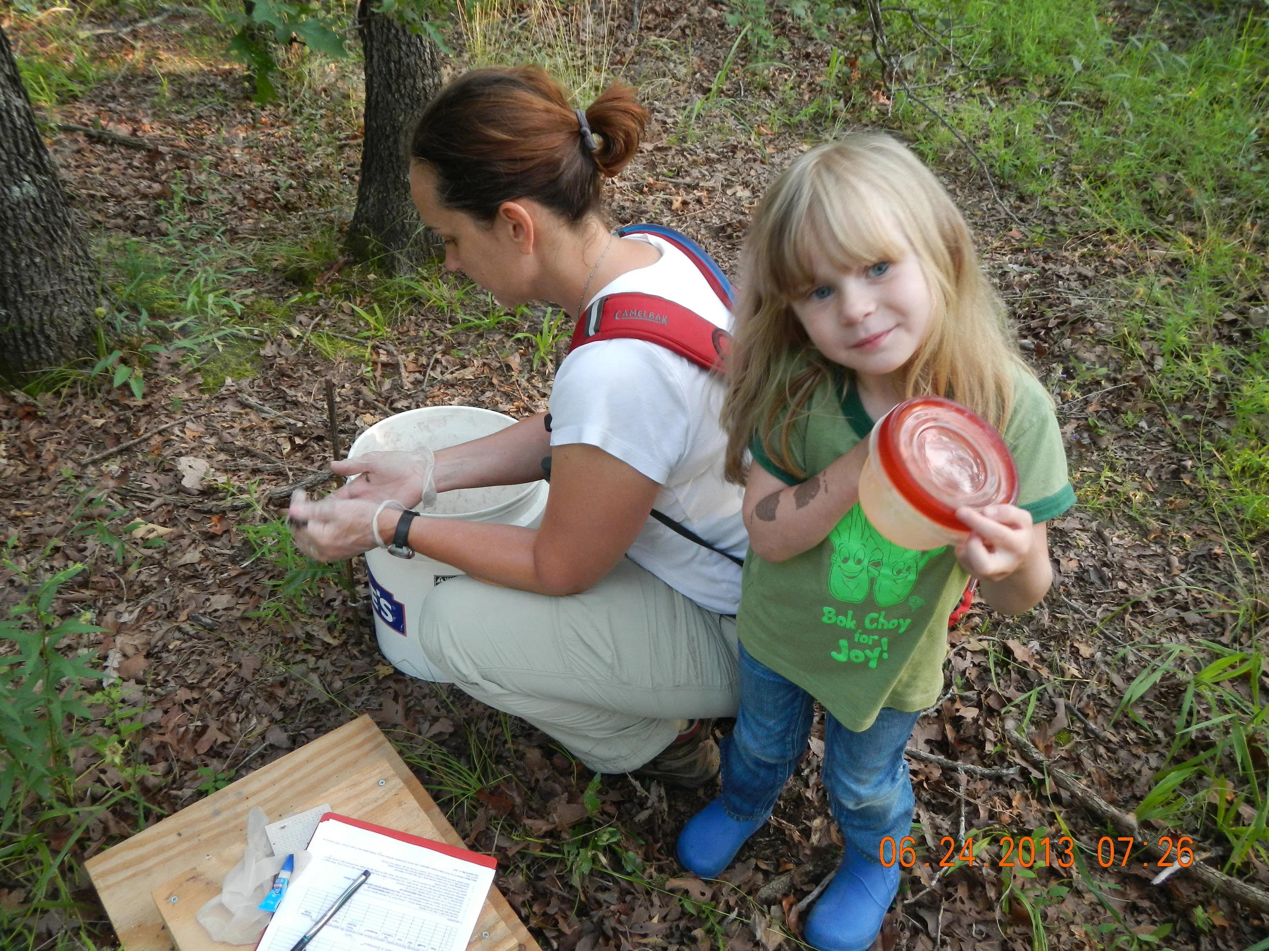 HOW TO TRAP AN AMERICAN BURYING BEETLE OR HOW I SPEND MY SUMMERS
