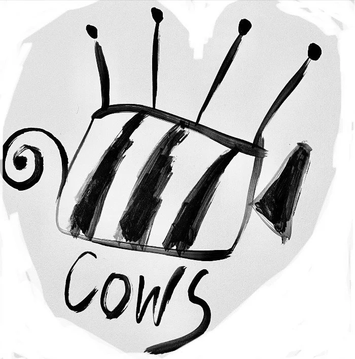 Cows Lying Down