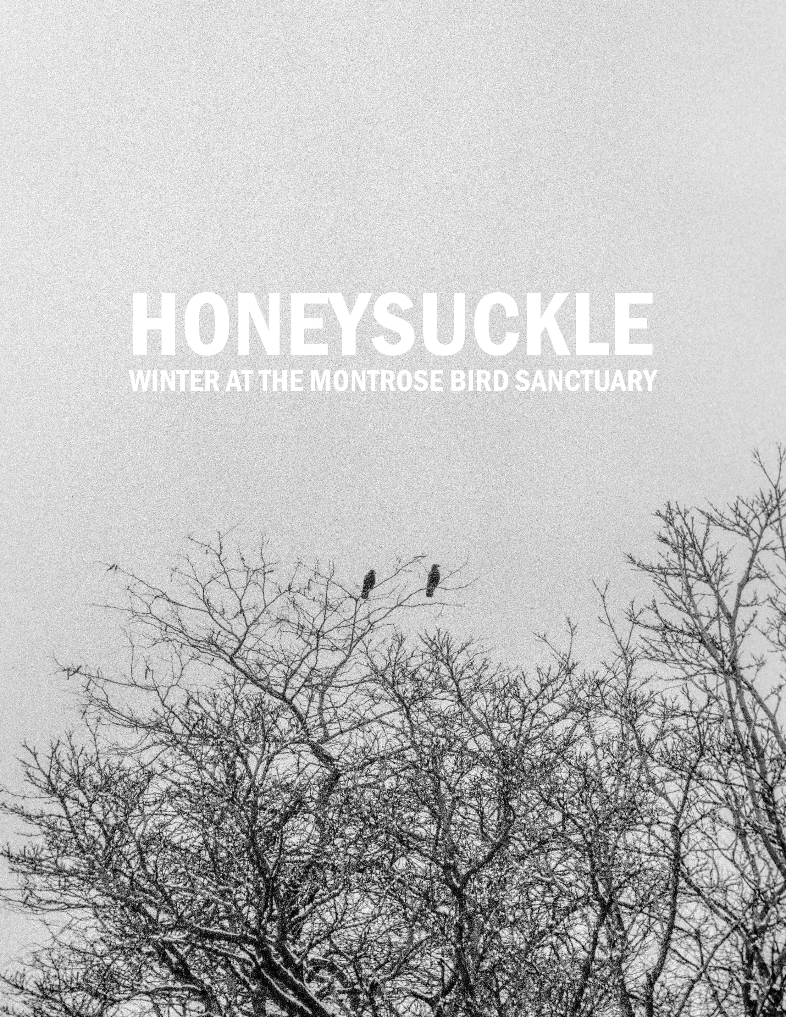 HONEYSUCKLE COVER.jpg
