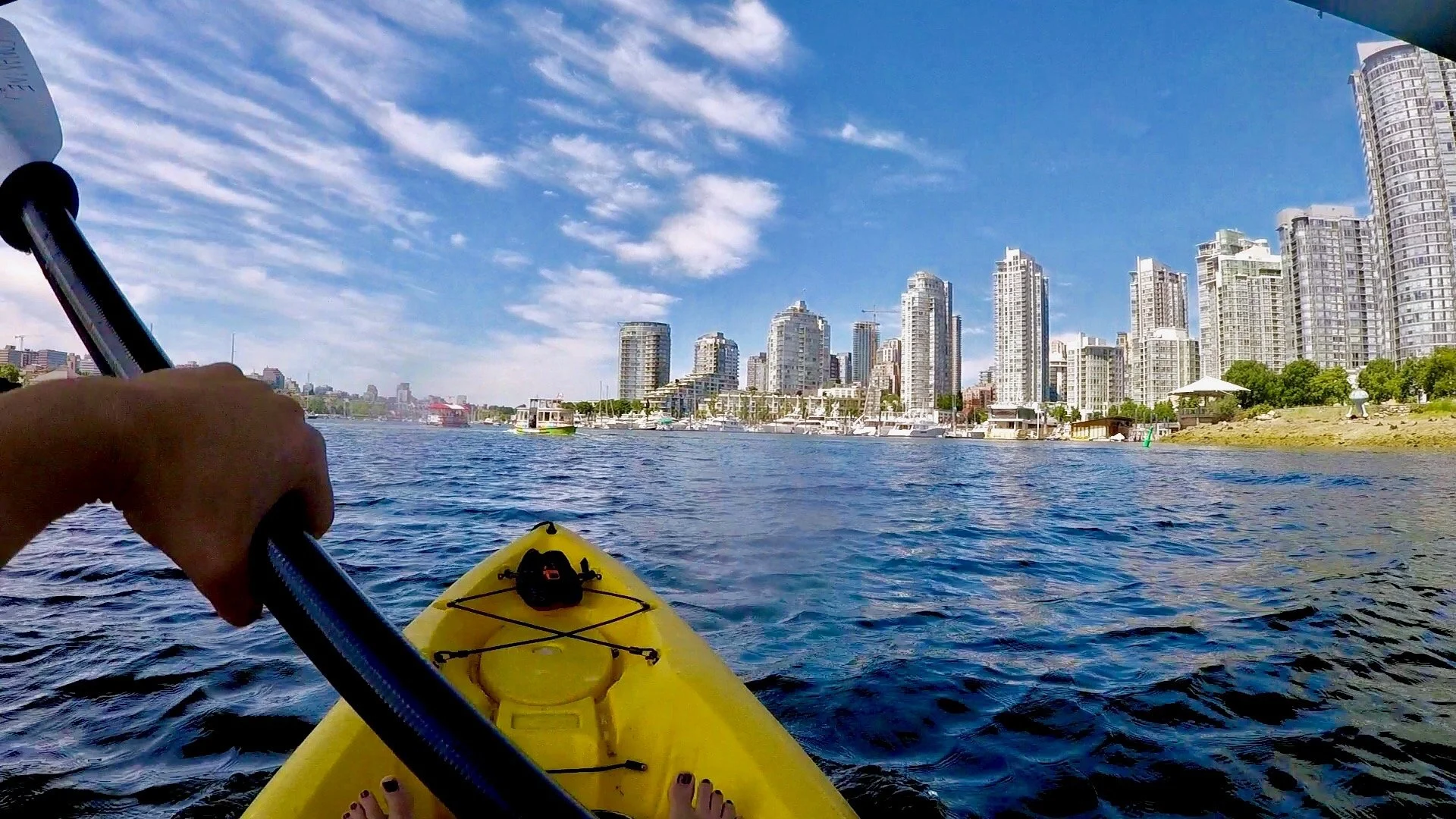 paddle.jpg
