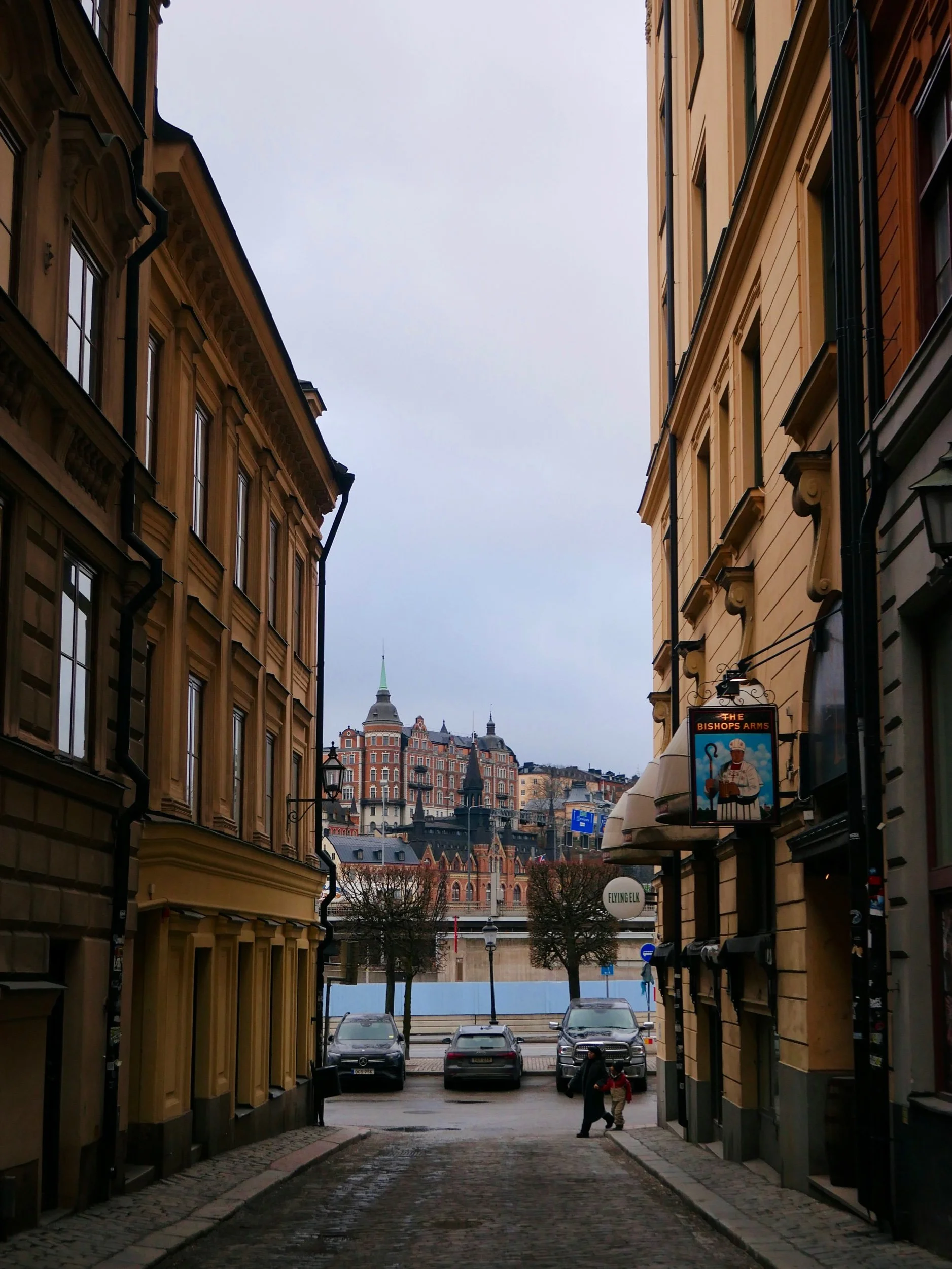 P1170226.jpeg