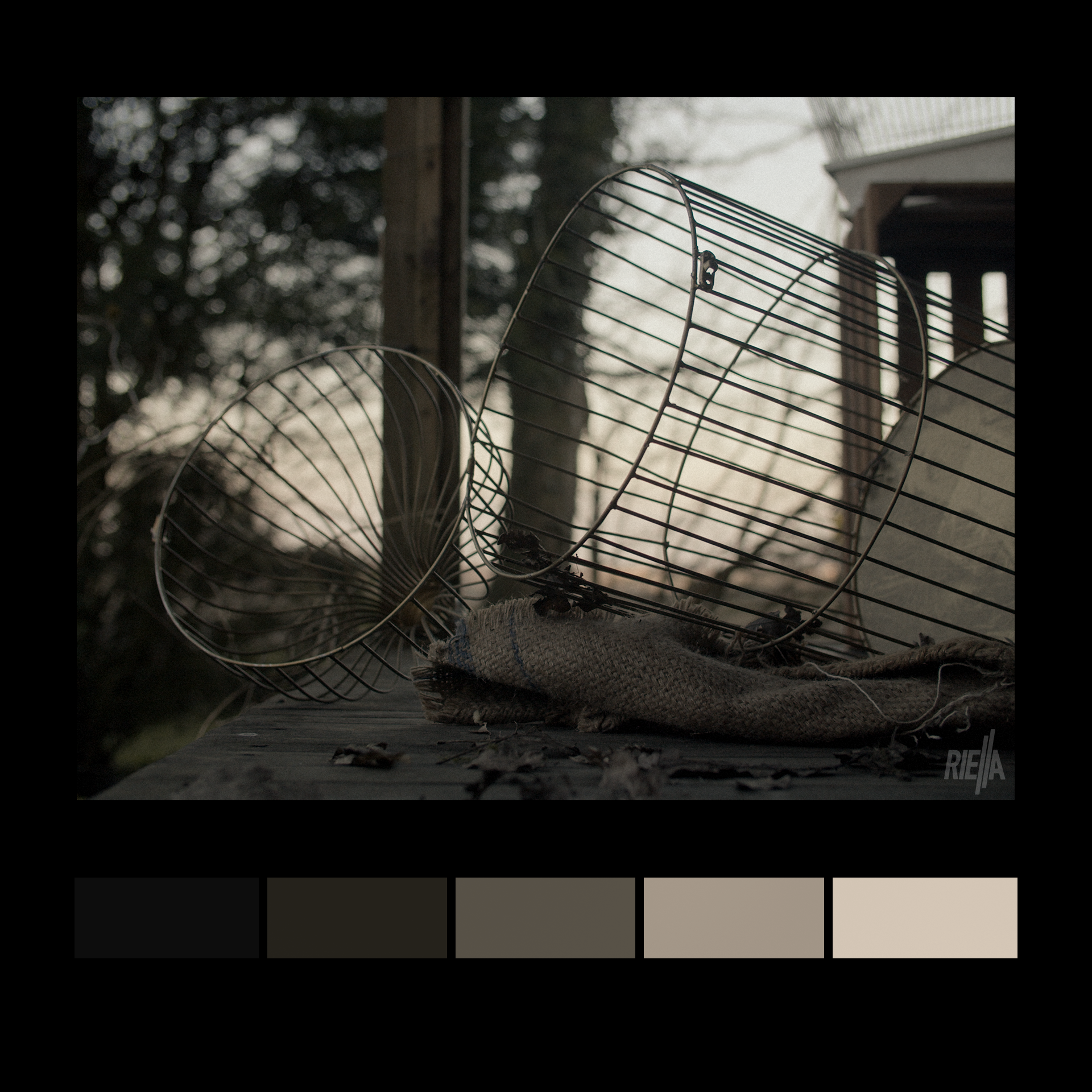 6_COLOUR_SWATCH_BREAKDOWNS_JACKDAW_STILL.png