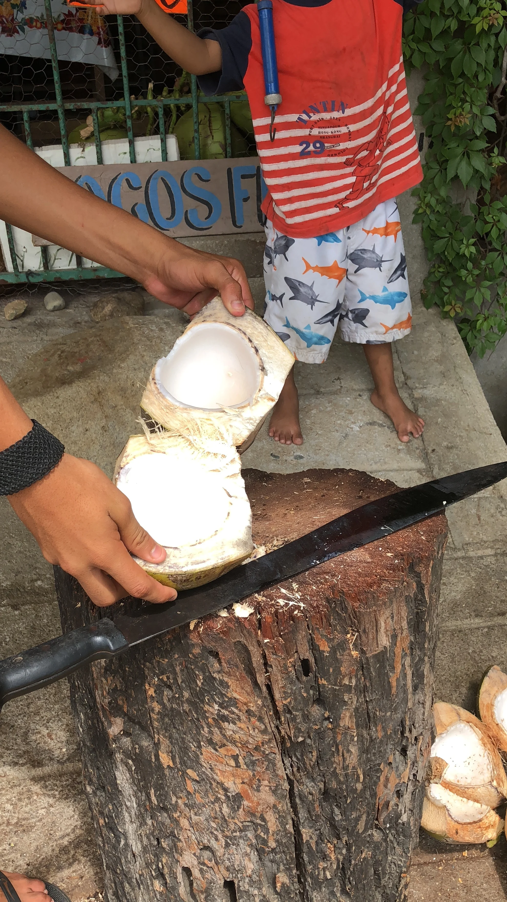 Ninfa’s eldest son Charlie has learned to use the machete while youngest son Marcos watches.