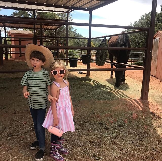 Sedona Sacred Rocks BbB was wonderful. We spent one afternoon playing with the horses and riding a pony.  Emily was so great with the kids and the pony was so kind and gentle. We would love to come back here again and take advantage of the yoga, medi
