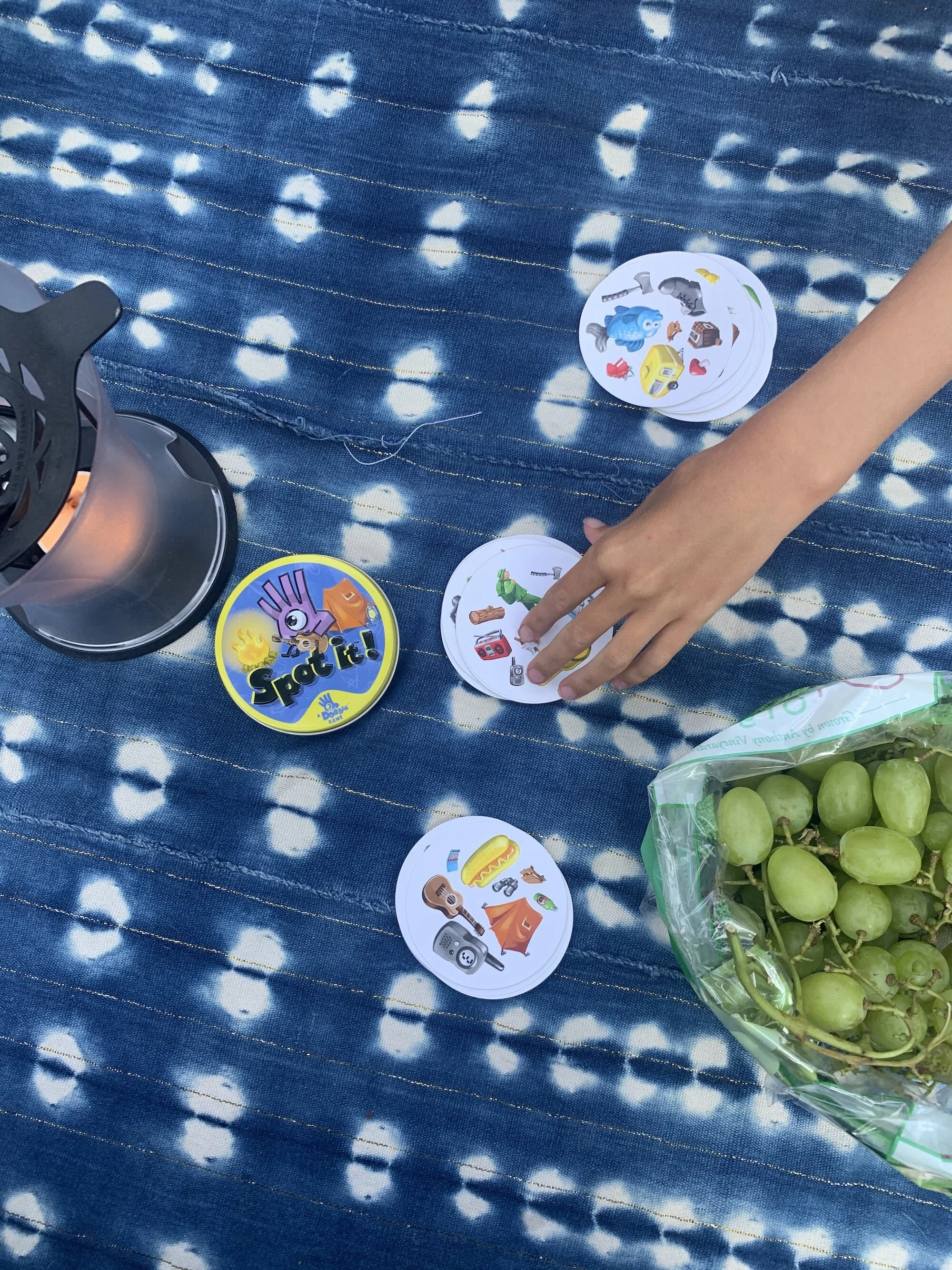 Spot It! Camping Edition